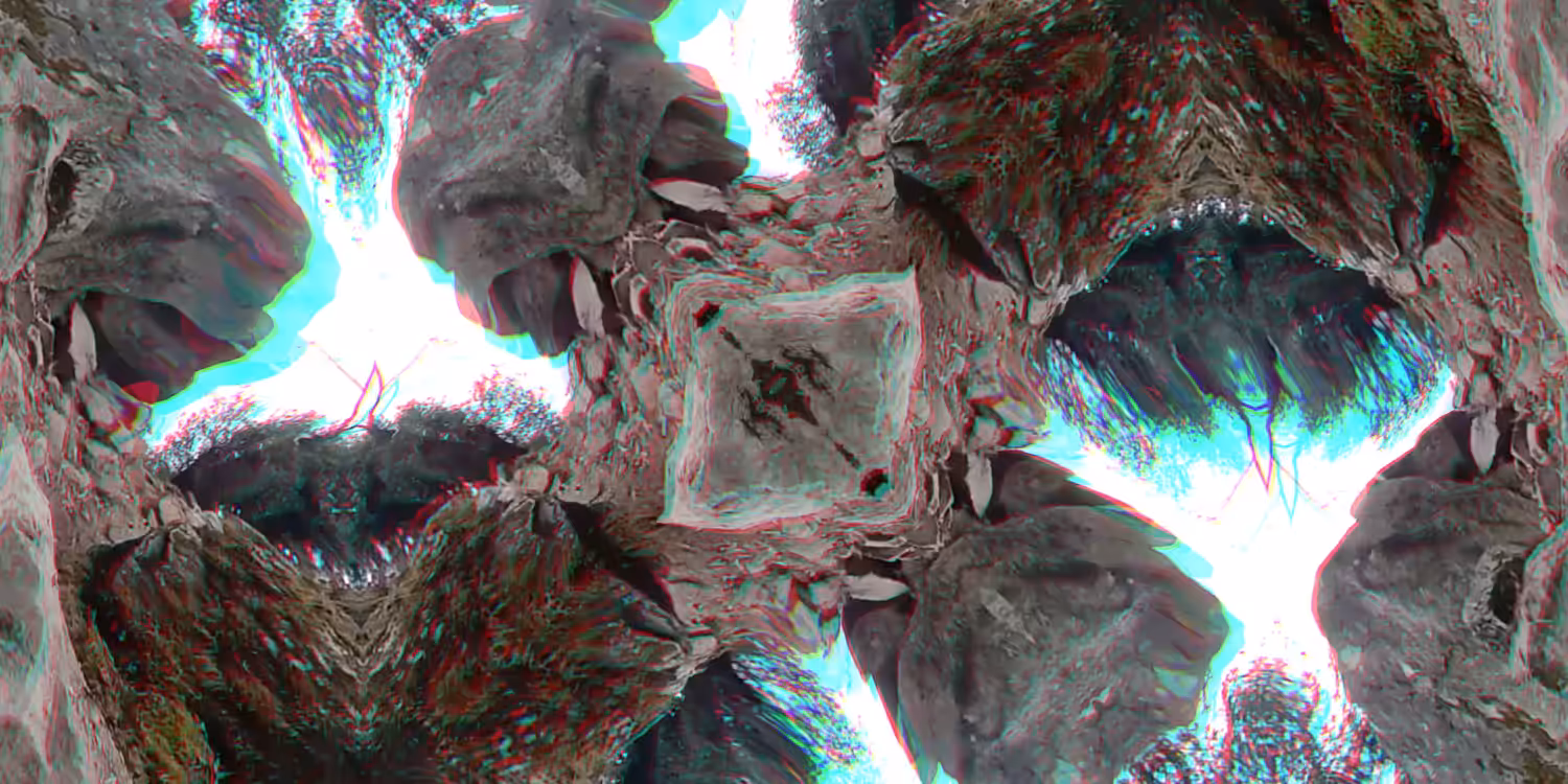 Kaleidoscopic  Vision