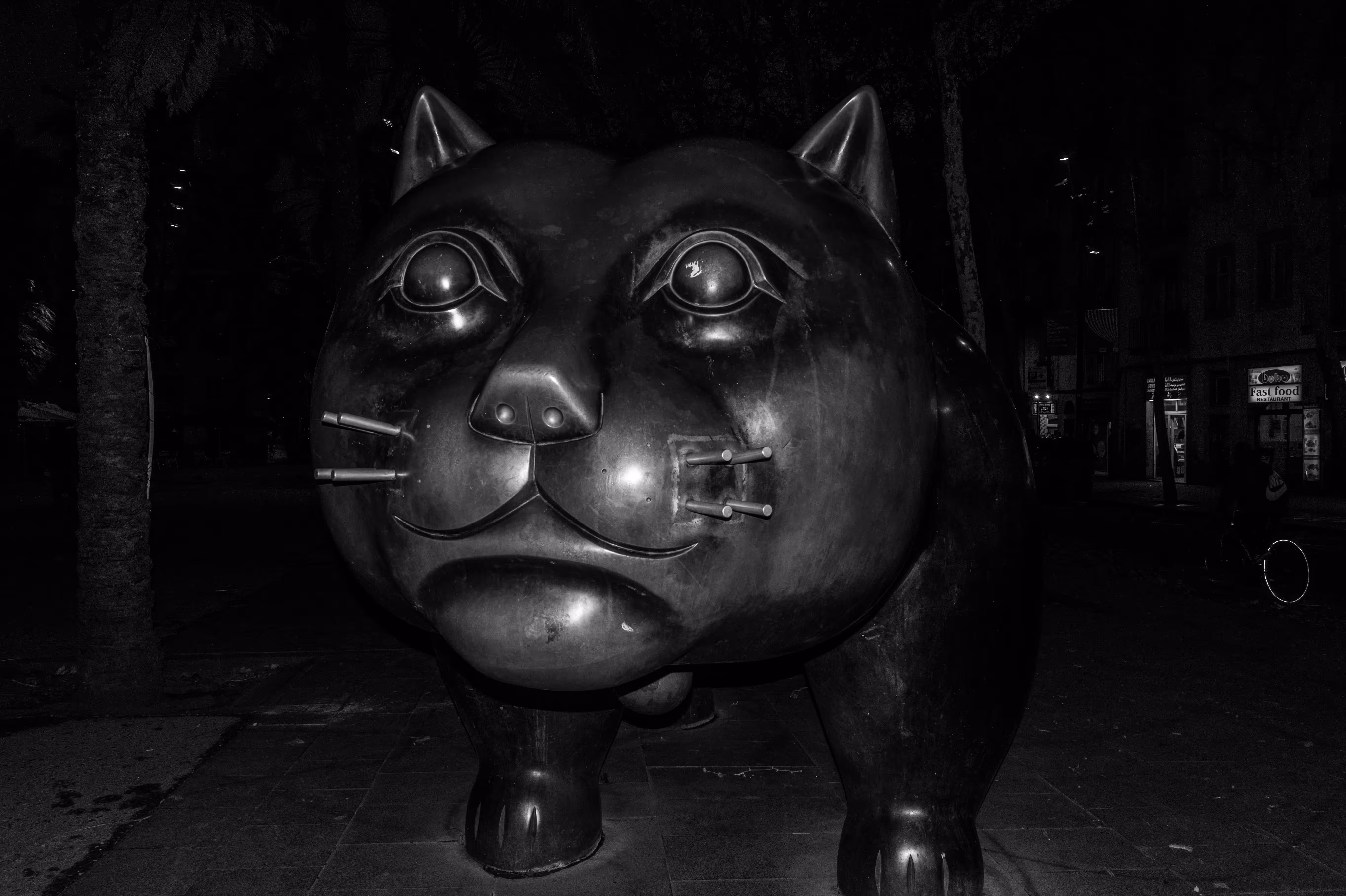 Fat Cat