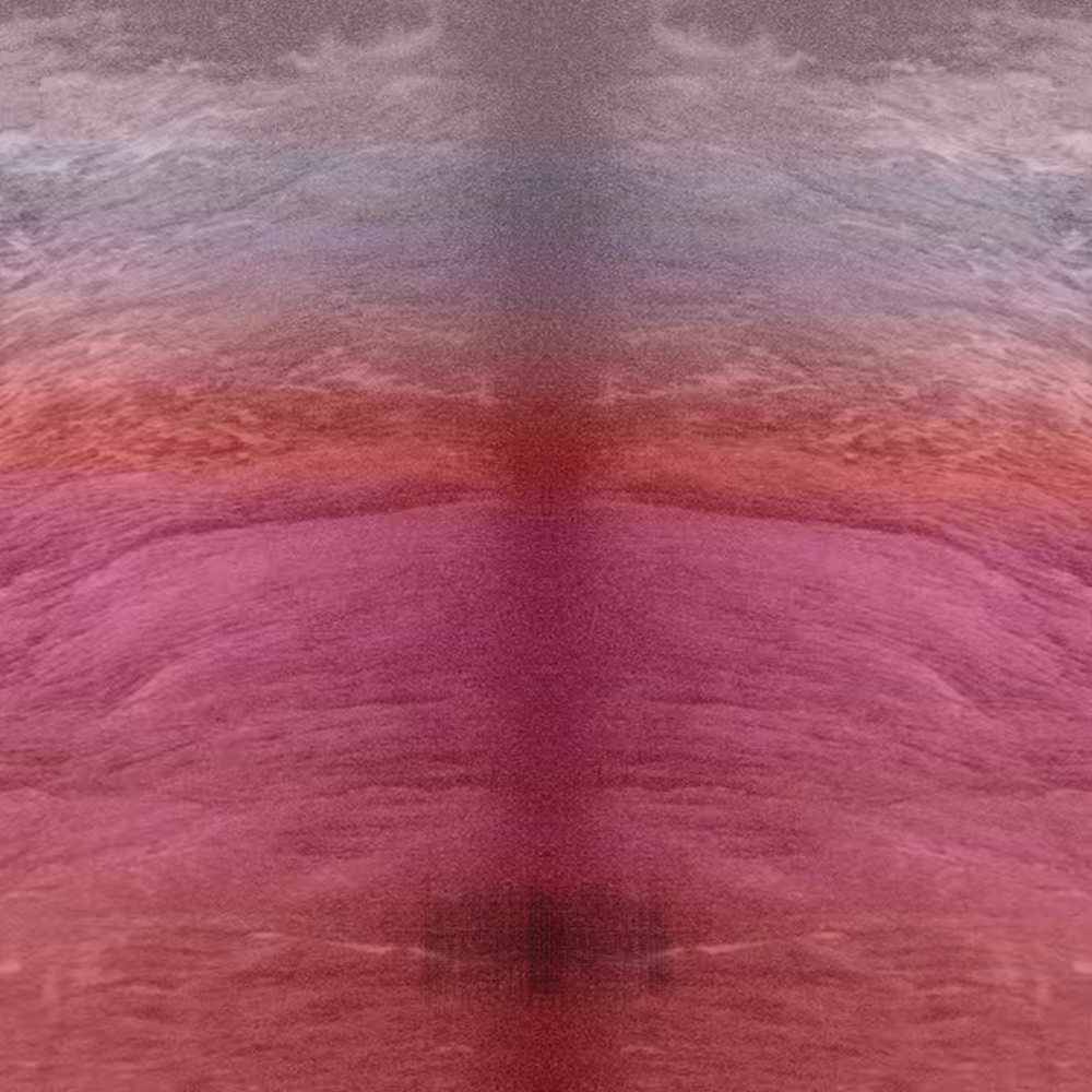 #61