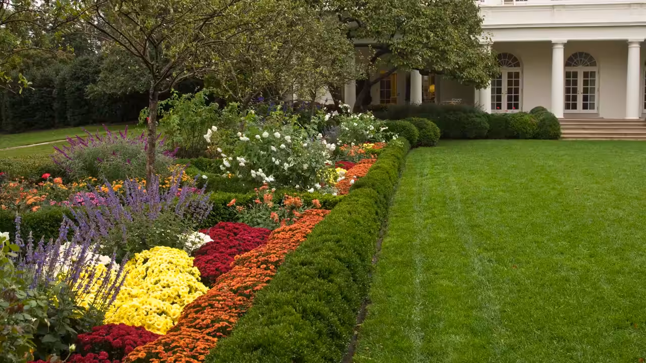 Song A Day: Uh Oh, Melania Trump Ruined The Rose Garden