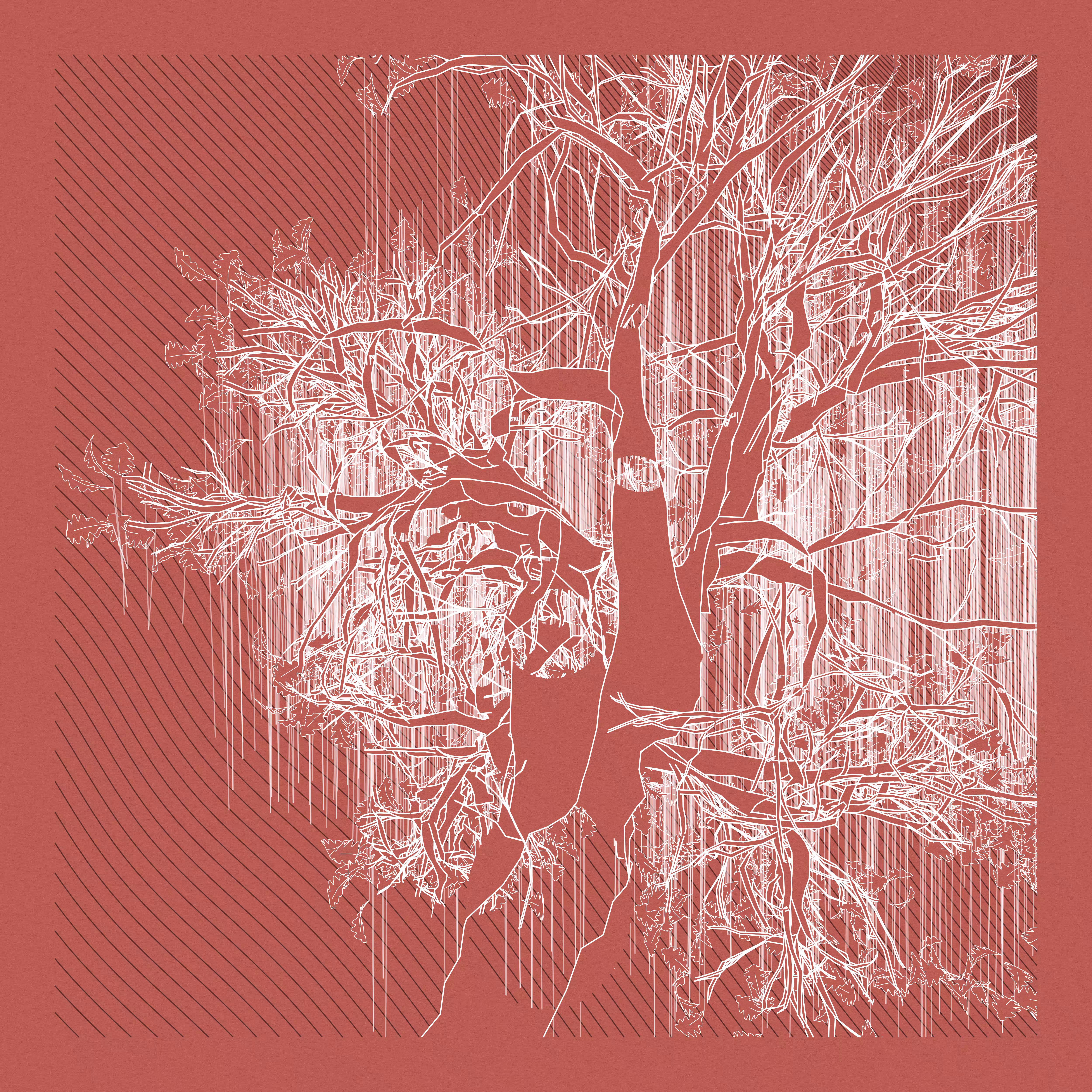 A Bugged Forest #350