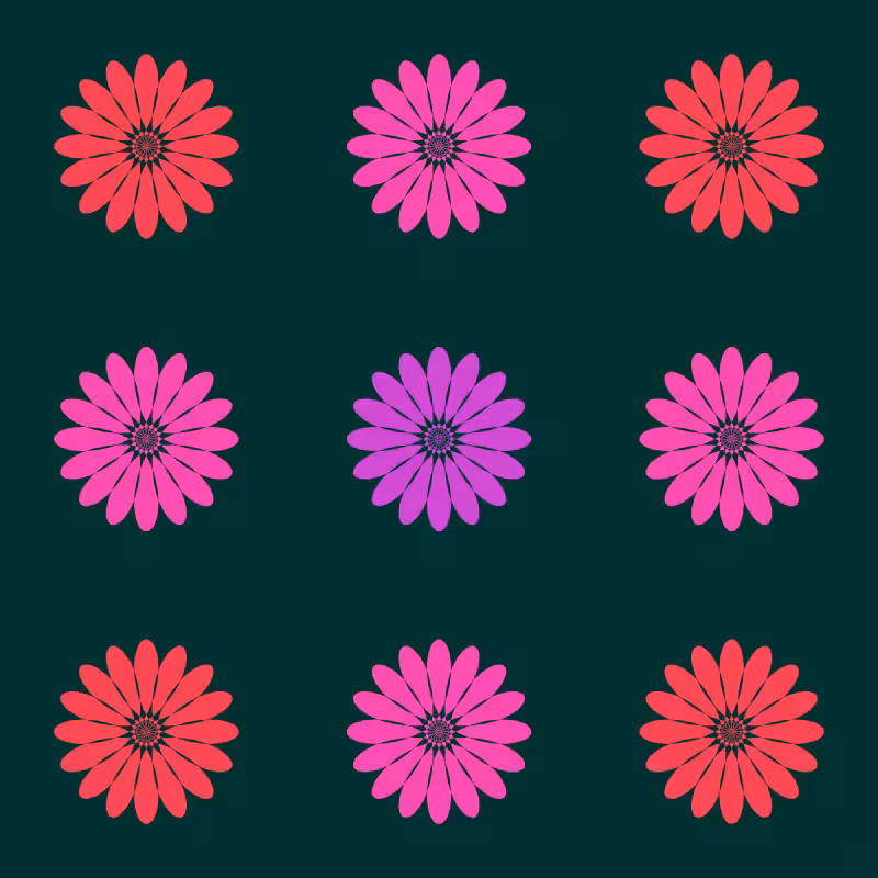 Blooming Strophoid #13