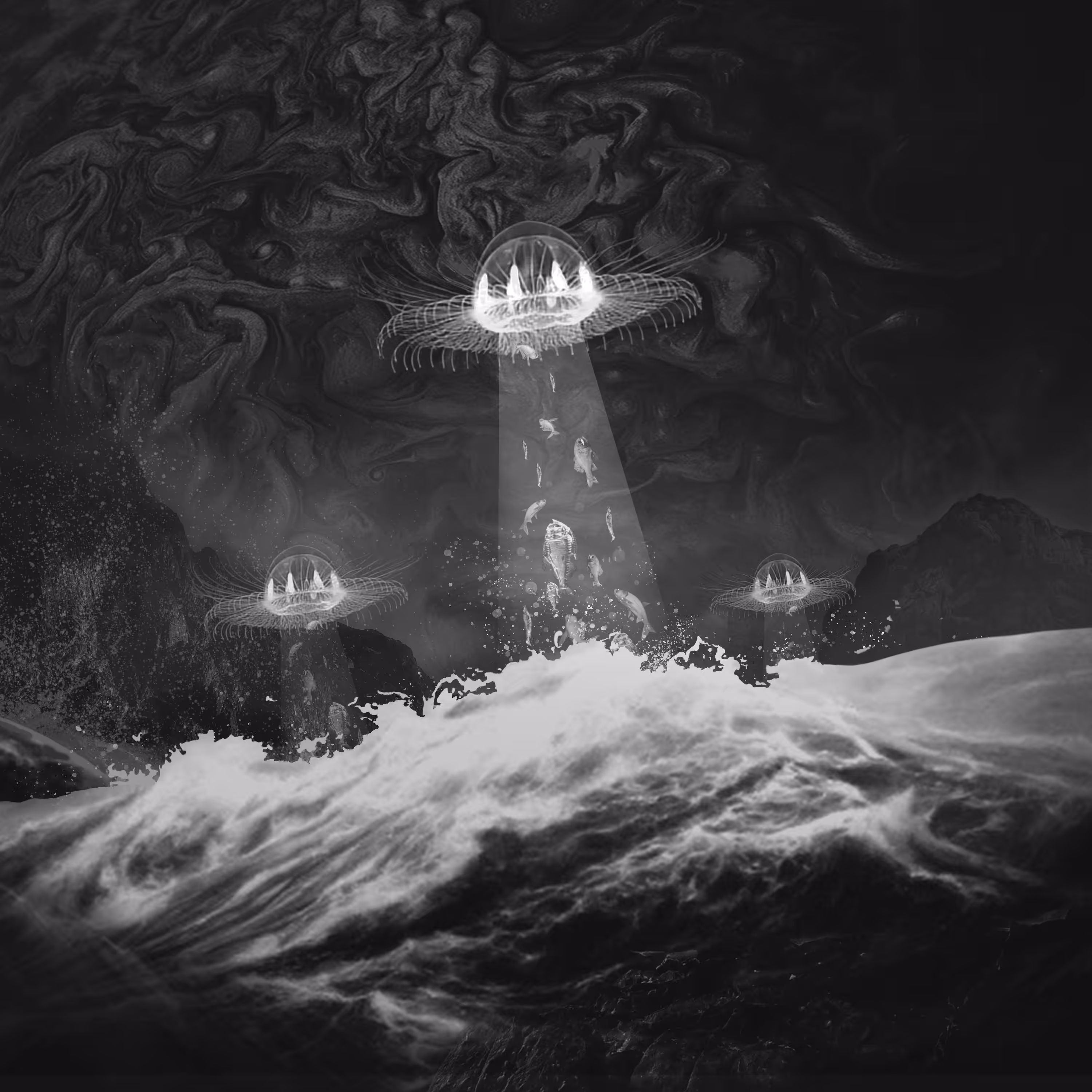The Hunt (BnW Edition)