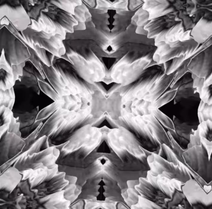 Symmetry VI