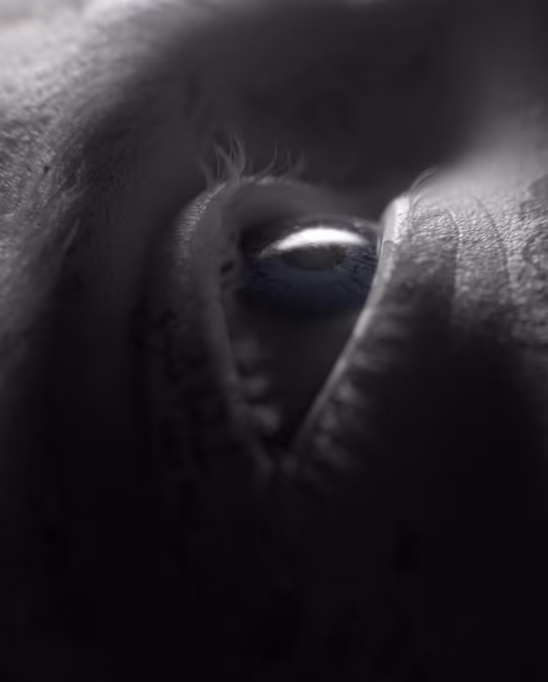 Unseen Together ππ€ππ₯πΈ