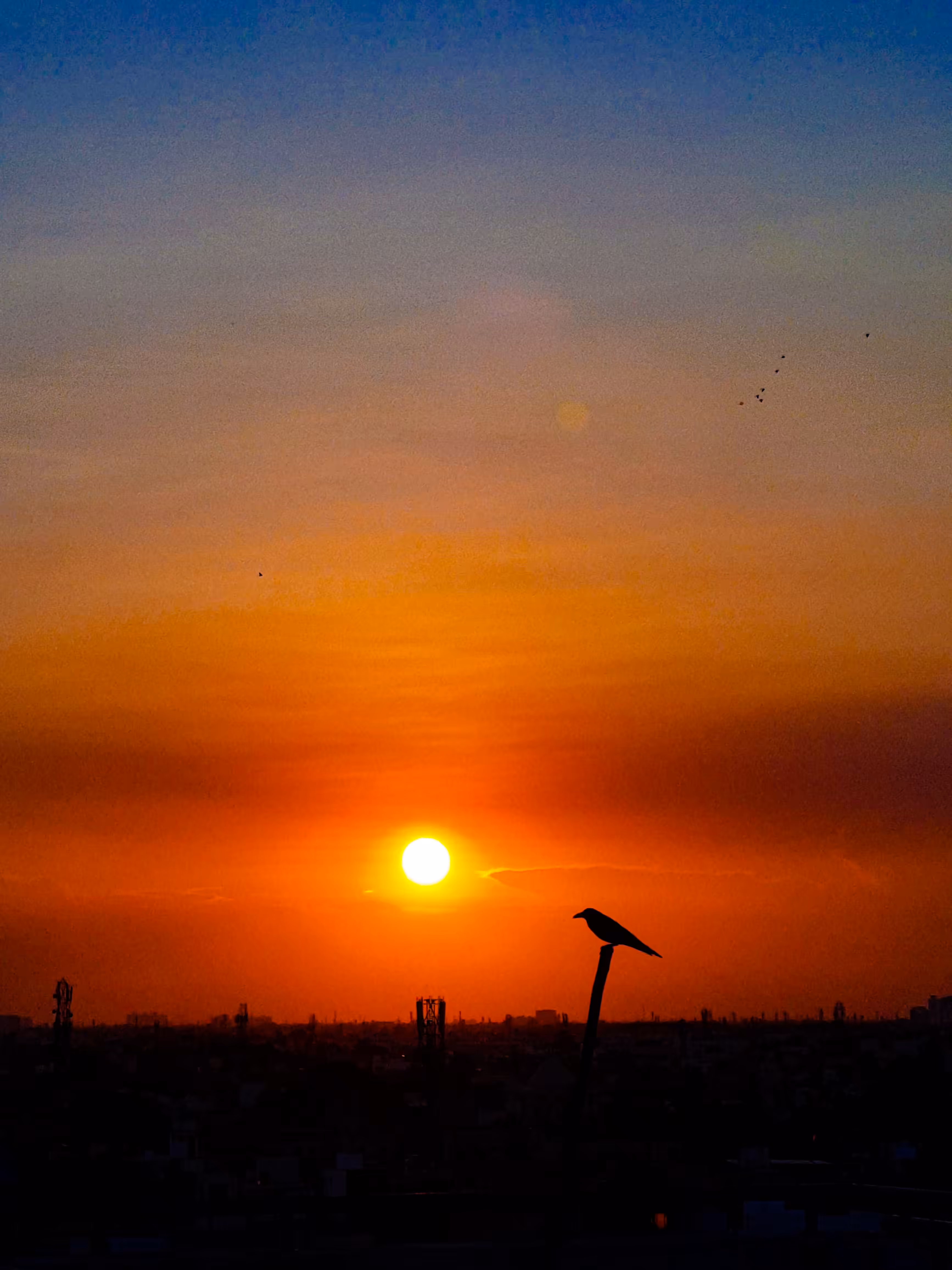 Golden Sundown