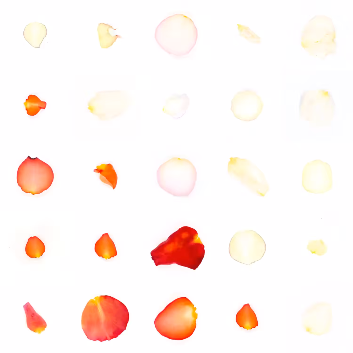 Infinite Petals 5x5#20894