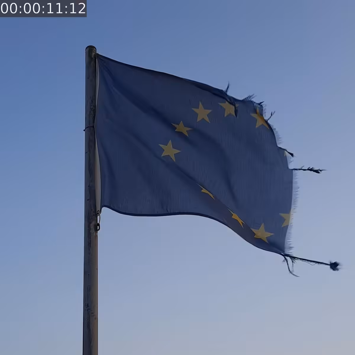 THE EUROPE #310