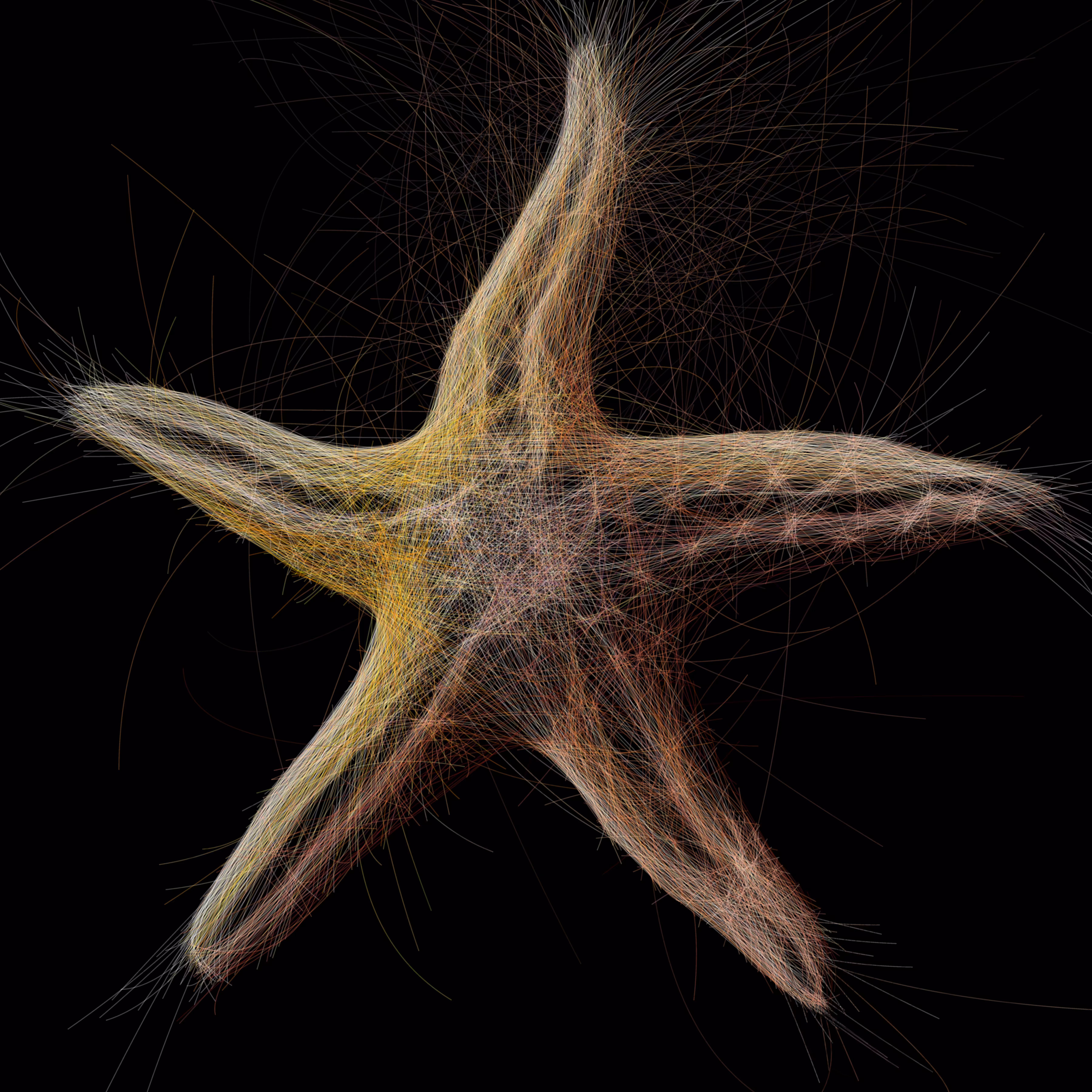 UNDERWATER: Underwater 242