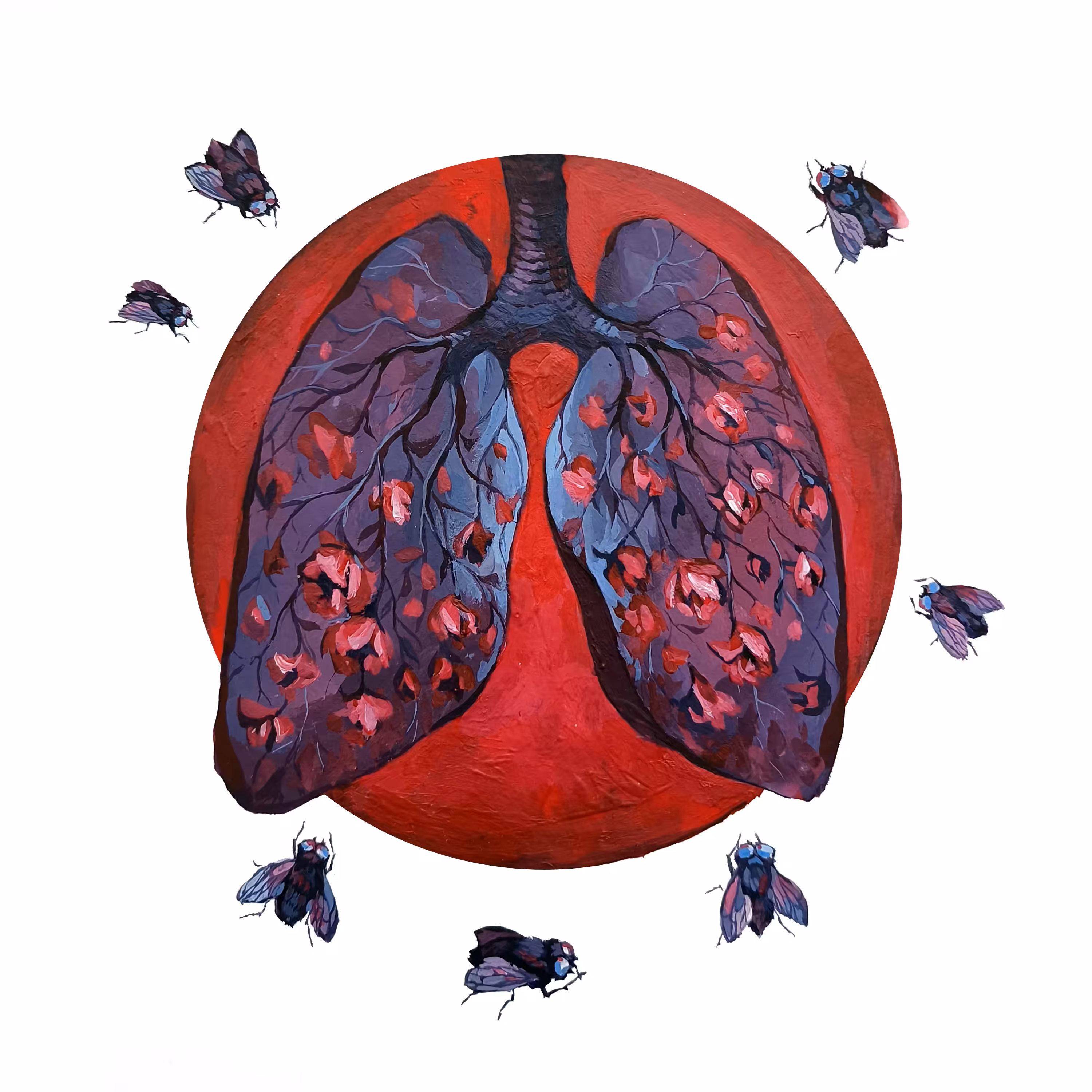 lungs