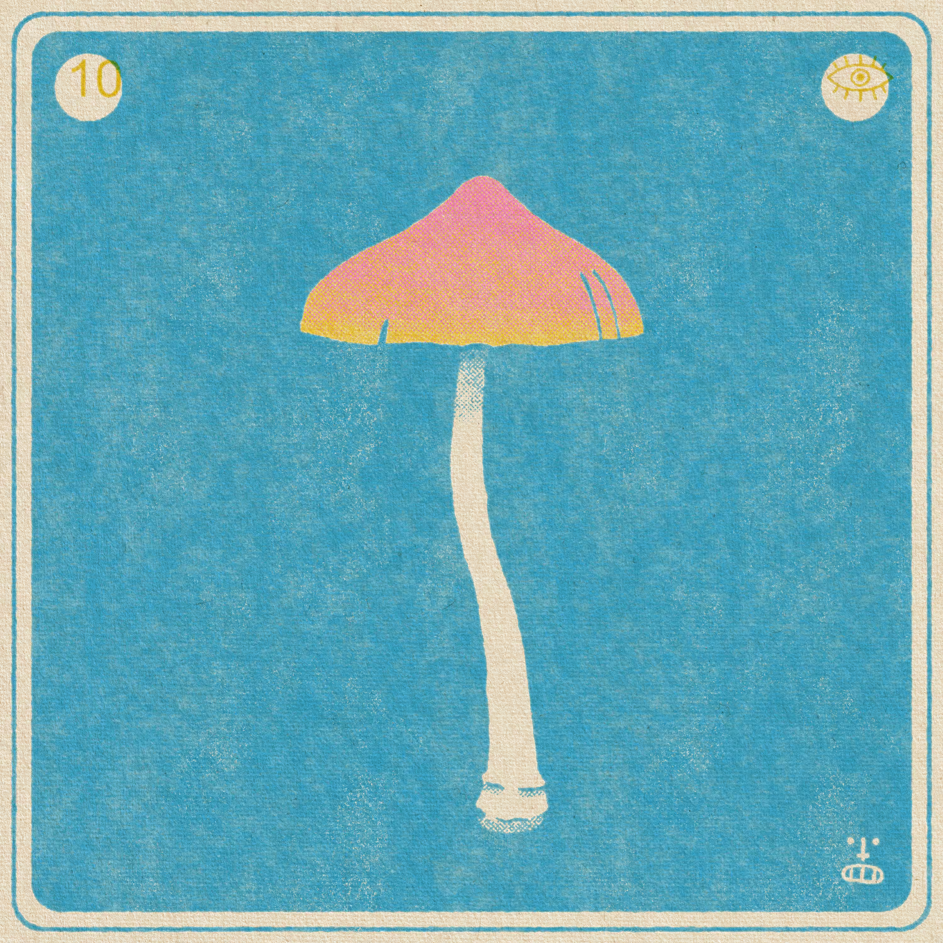 10- Psilocybe Azurescens
