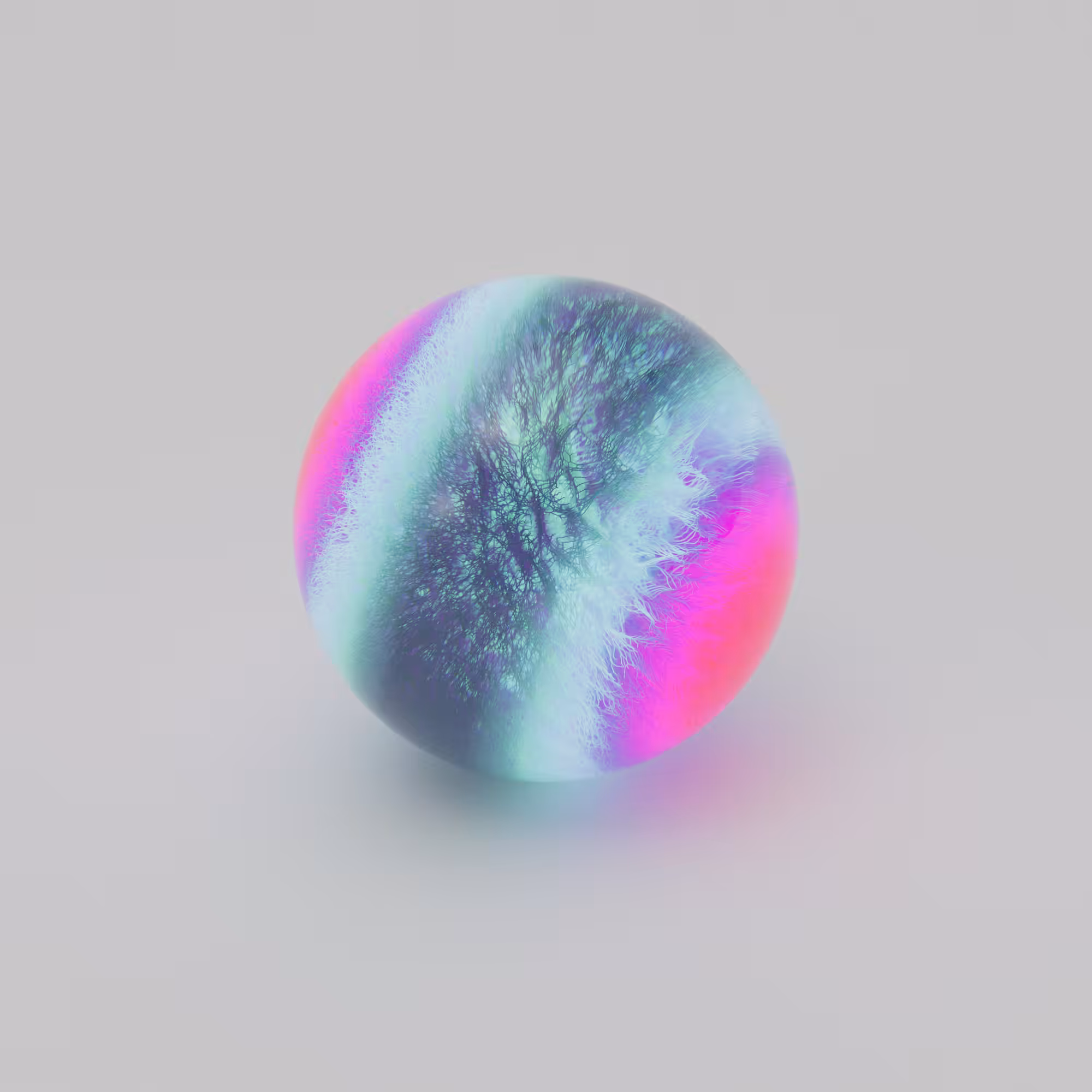 Rhinotillexomania_1x0F