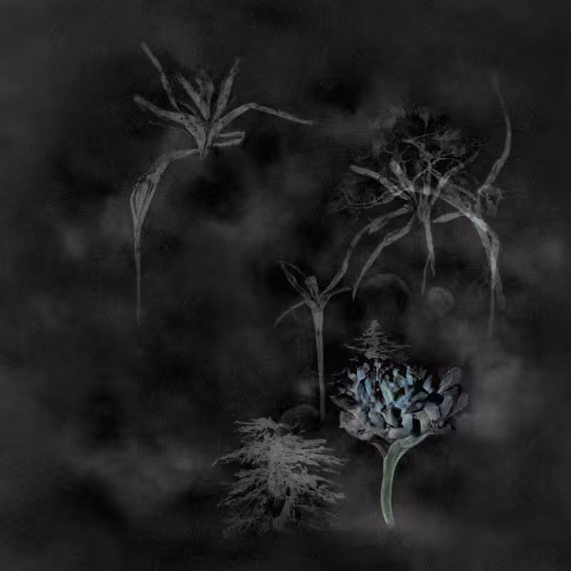 Hauntological Herbarium #53