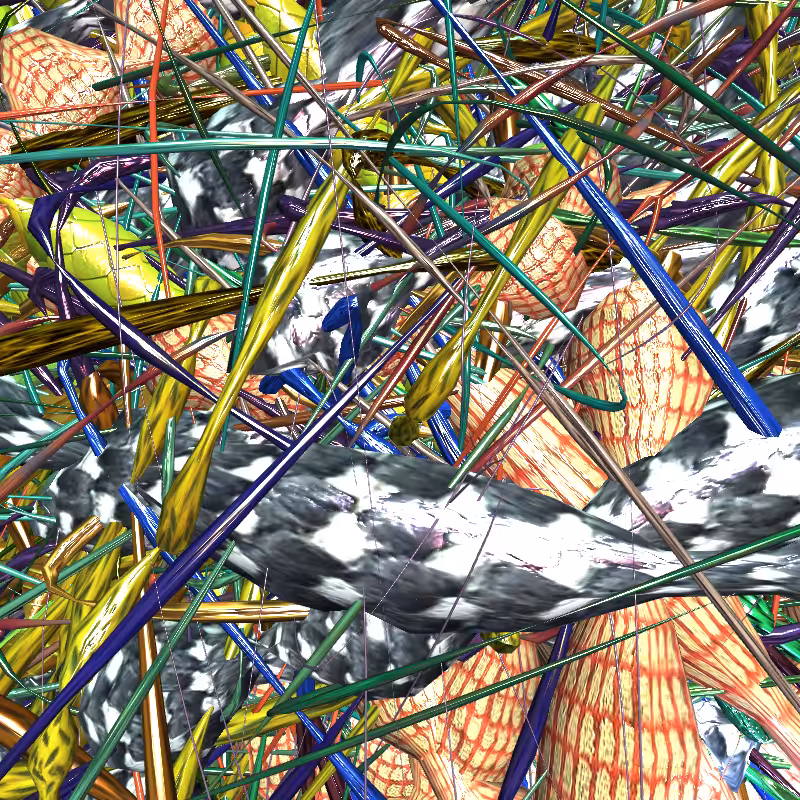 Prismatic Thickets #351