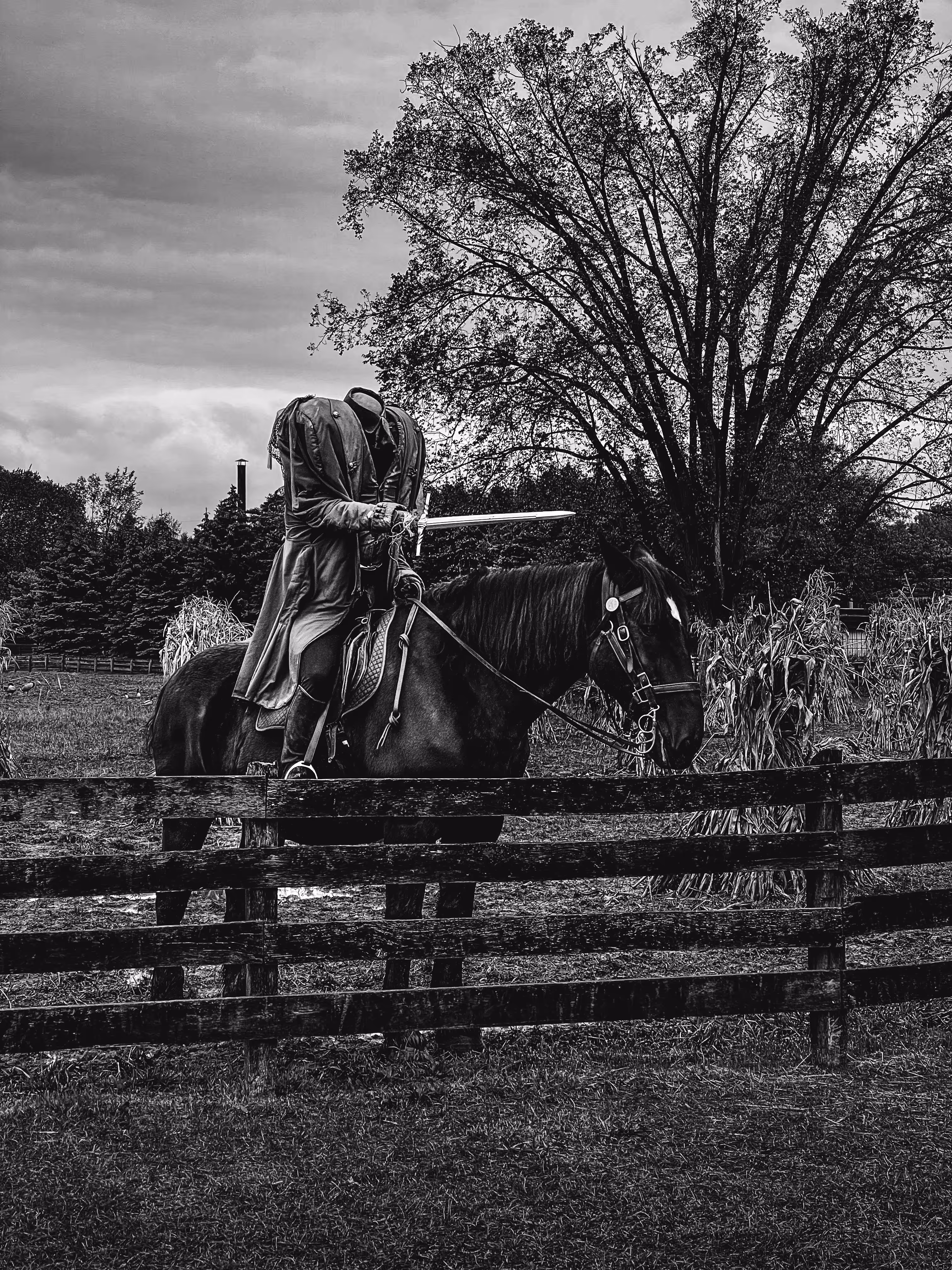 The Headless Horseman Rides Tonight!