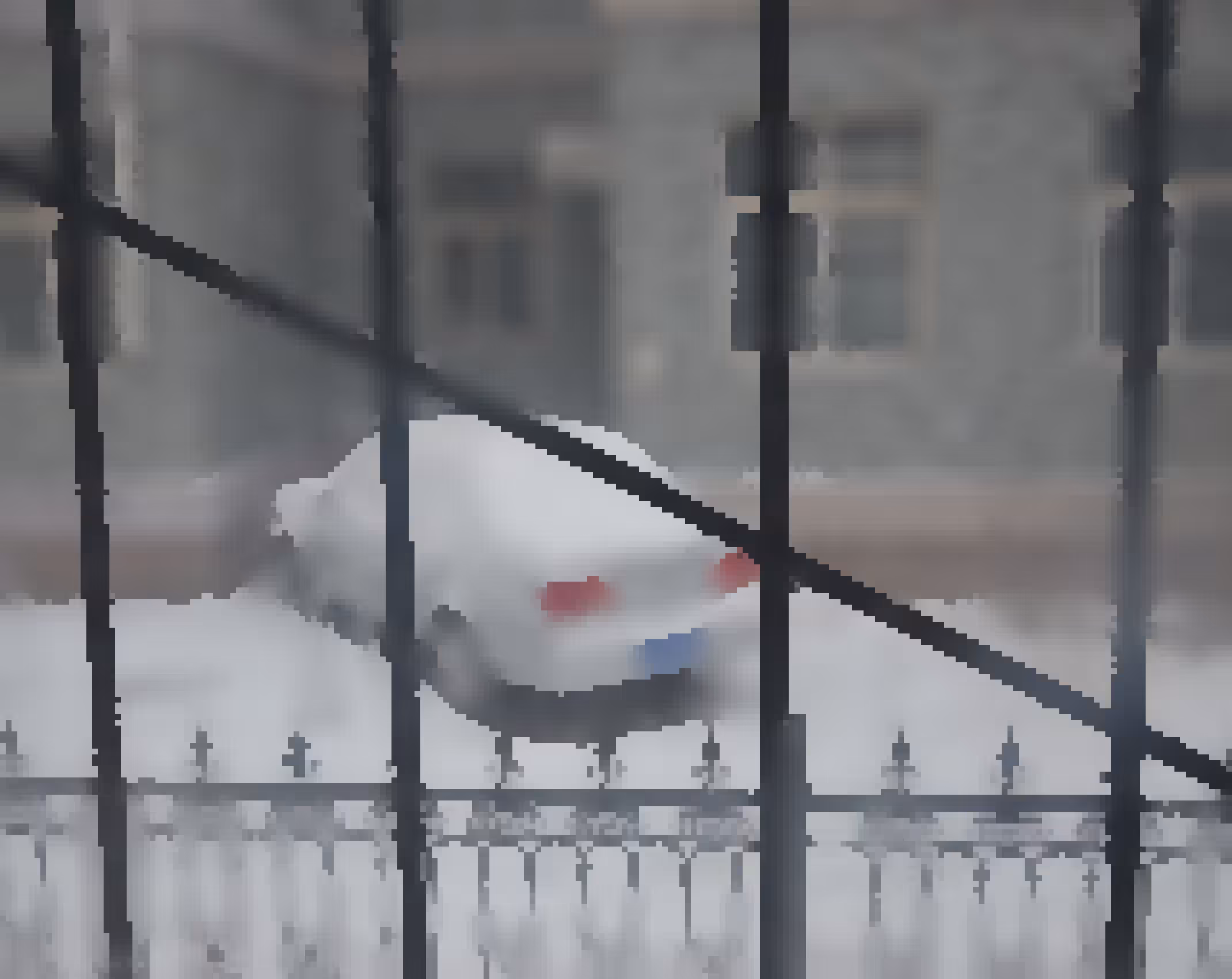 Snow and a Car