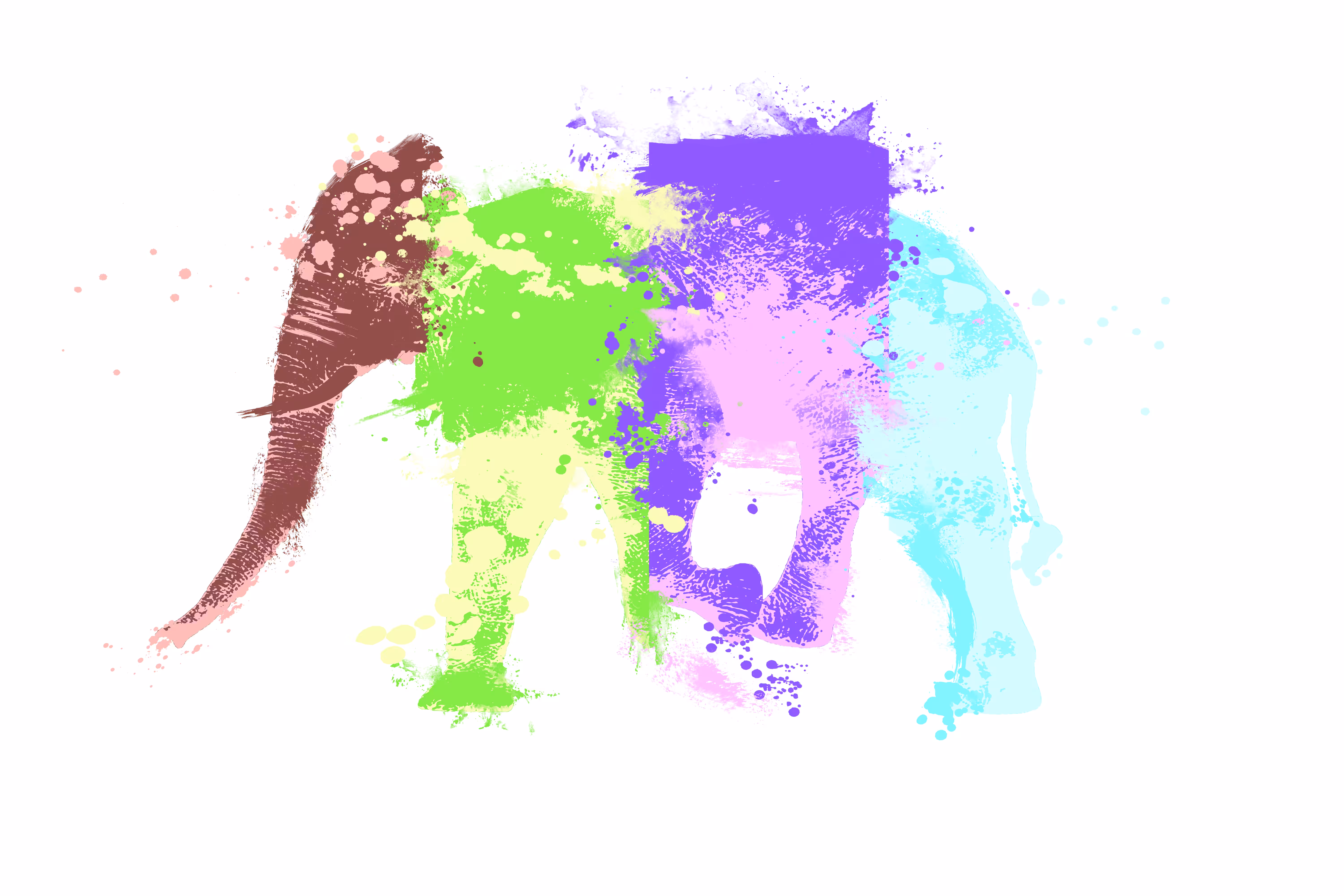 Elephant Graffiti - Sahara Collection