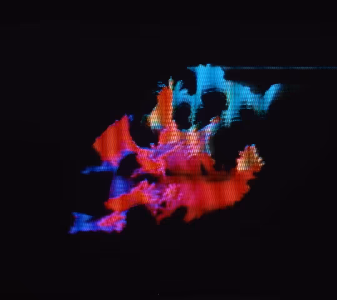 coral reef