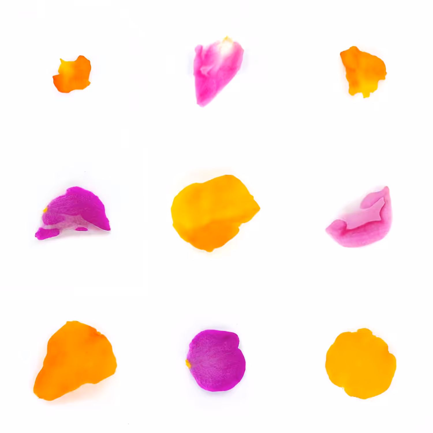 Infinite Petals 3x3#1278