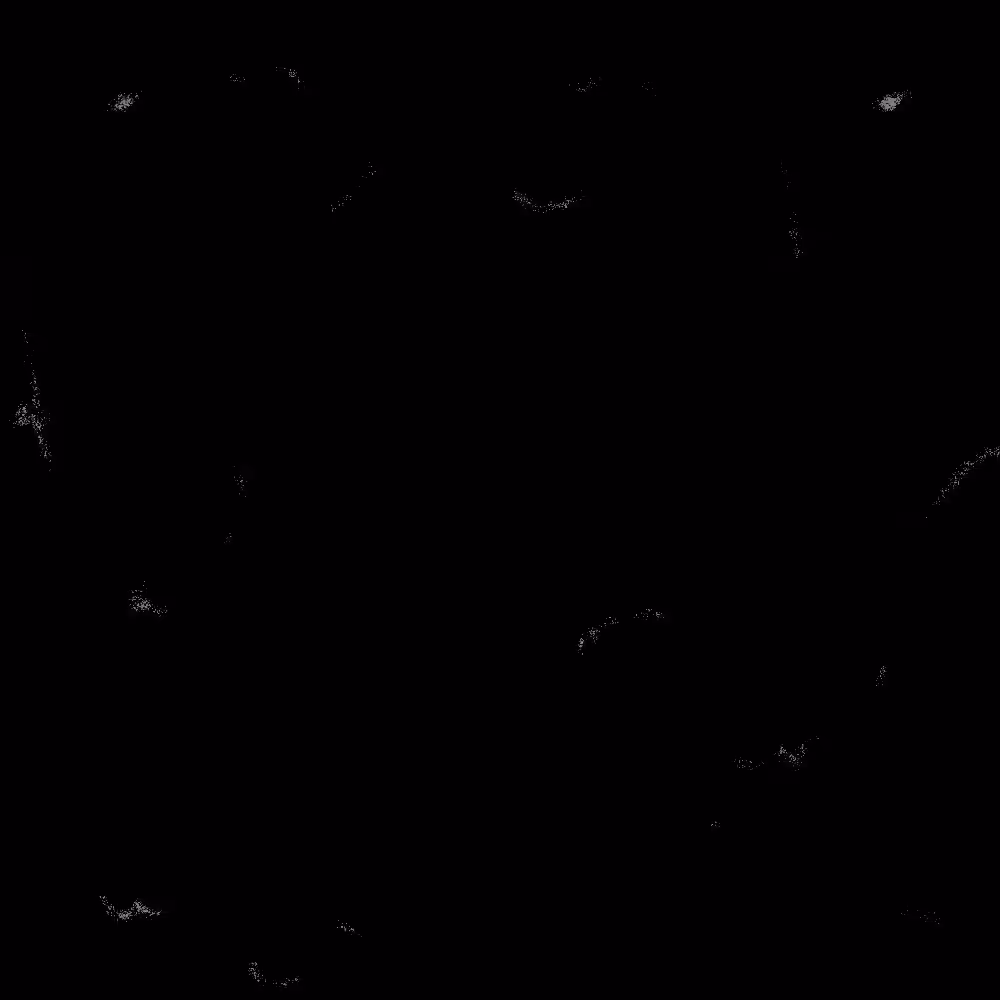 ABYSS