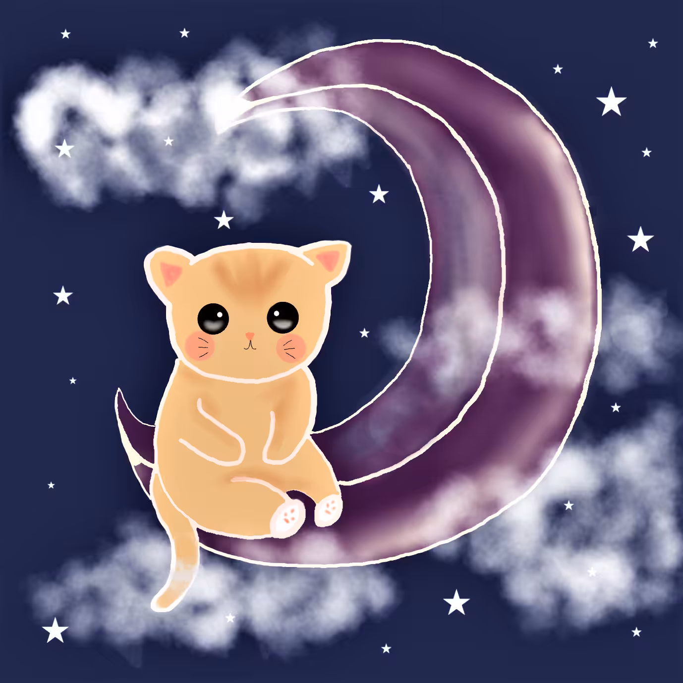 Kitty at night