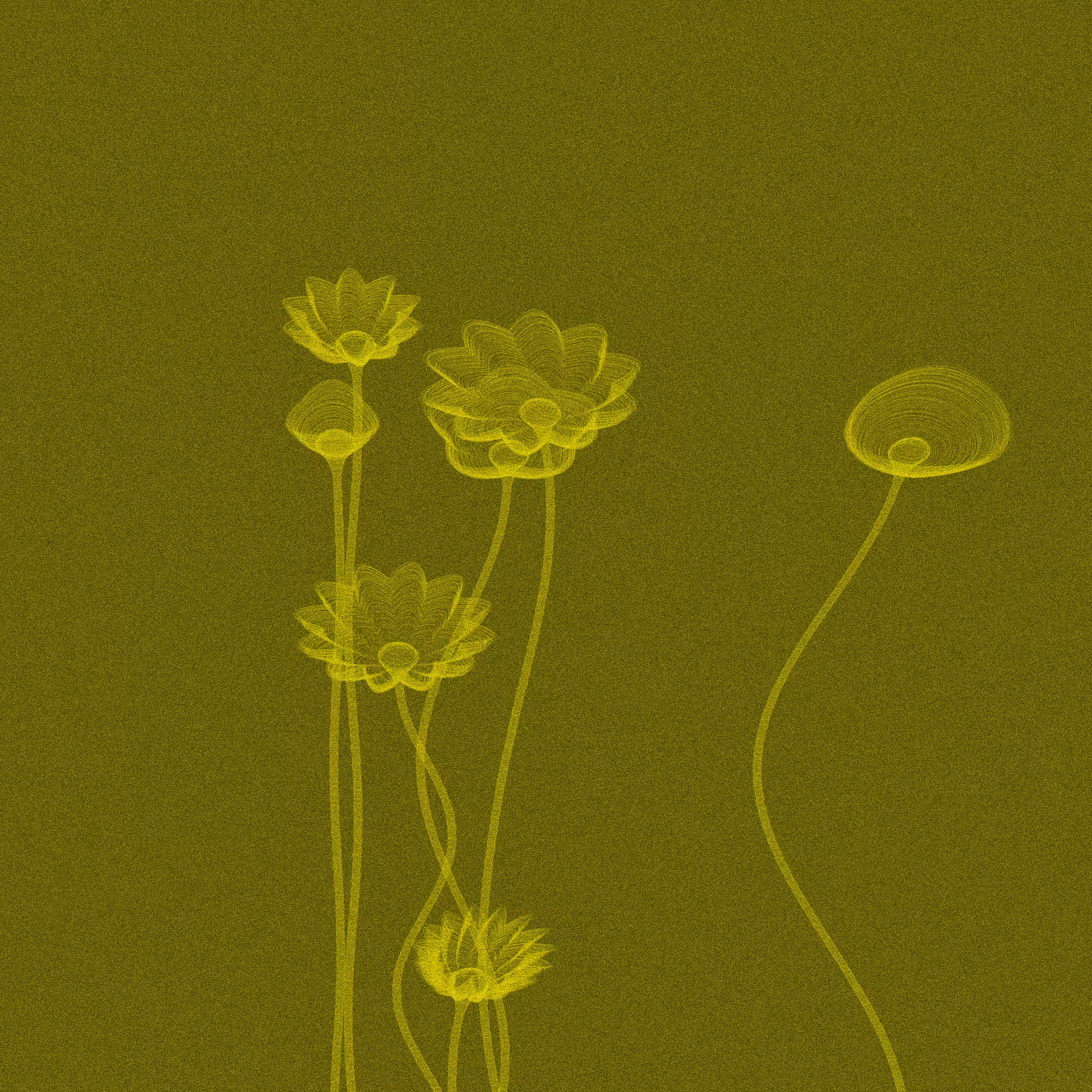 Code Flowers #34