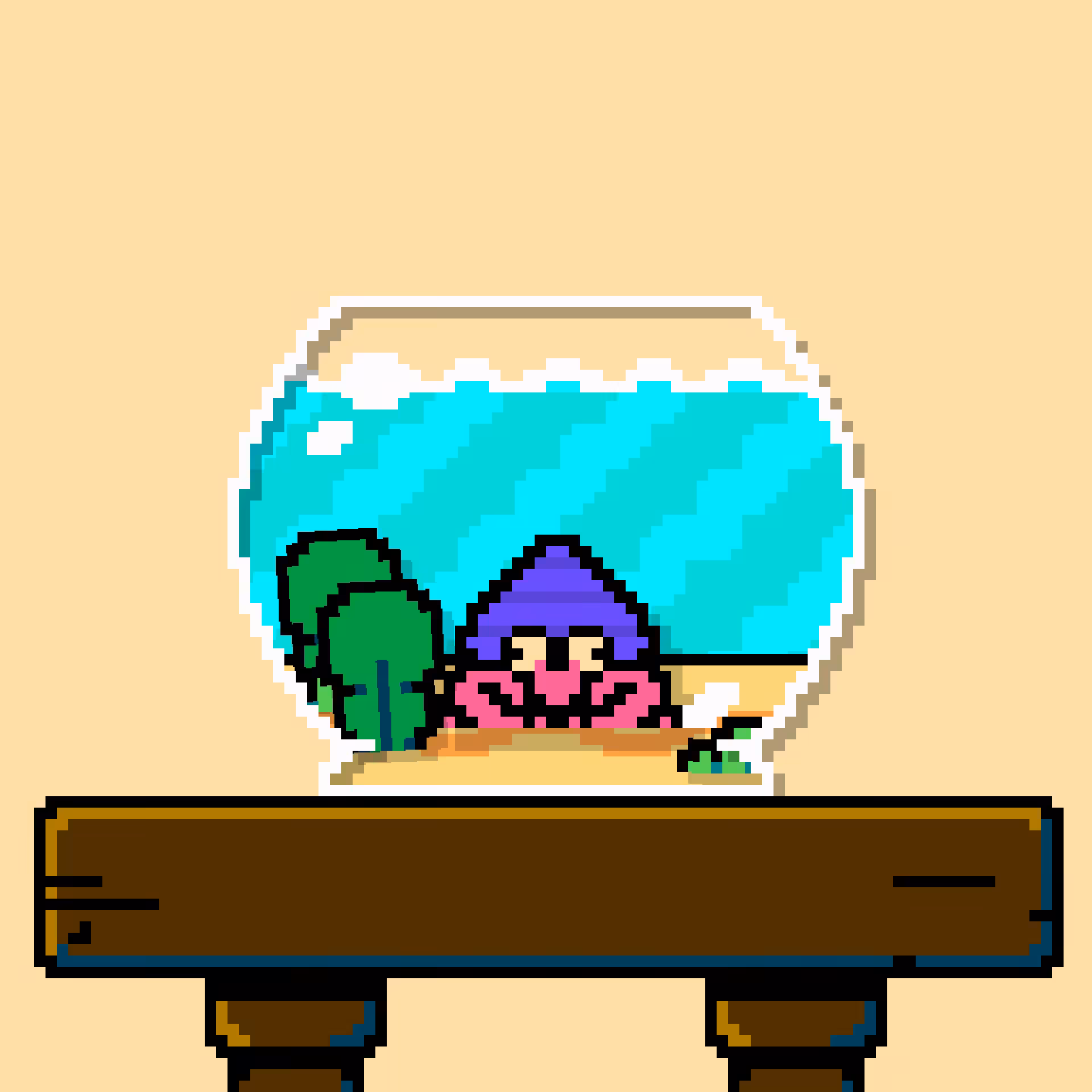 hermit crab #26