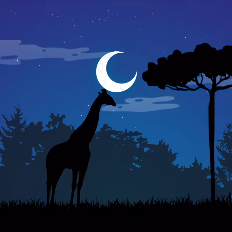 We Care... Giraffe #2