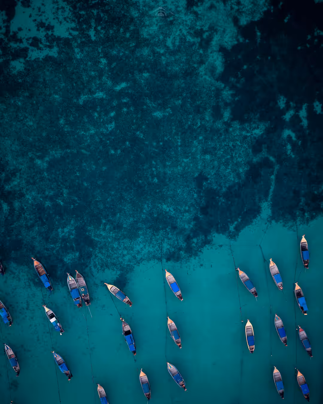 Tropical Vibes #13 ( Longtail boats Thaialnd)