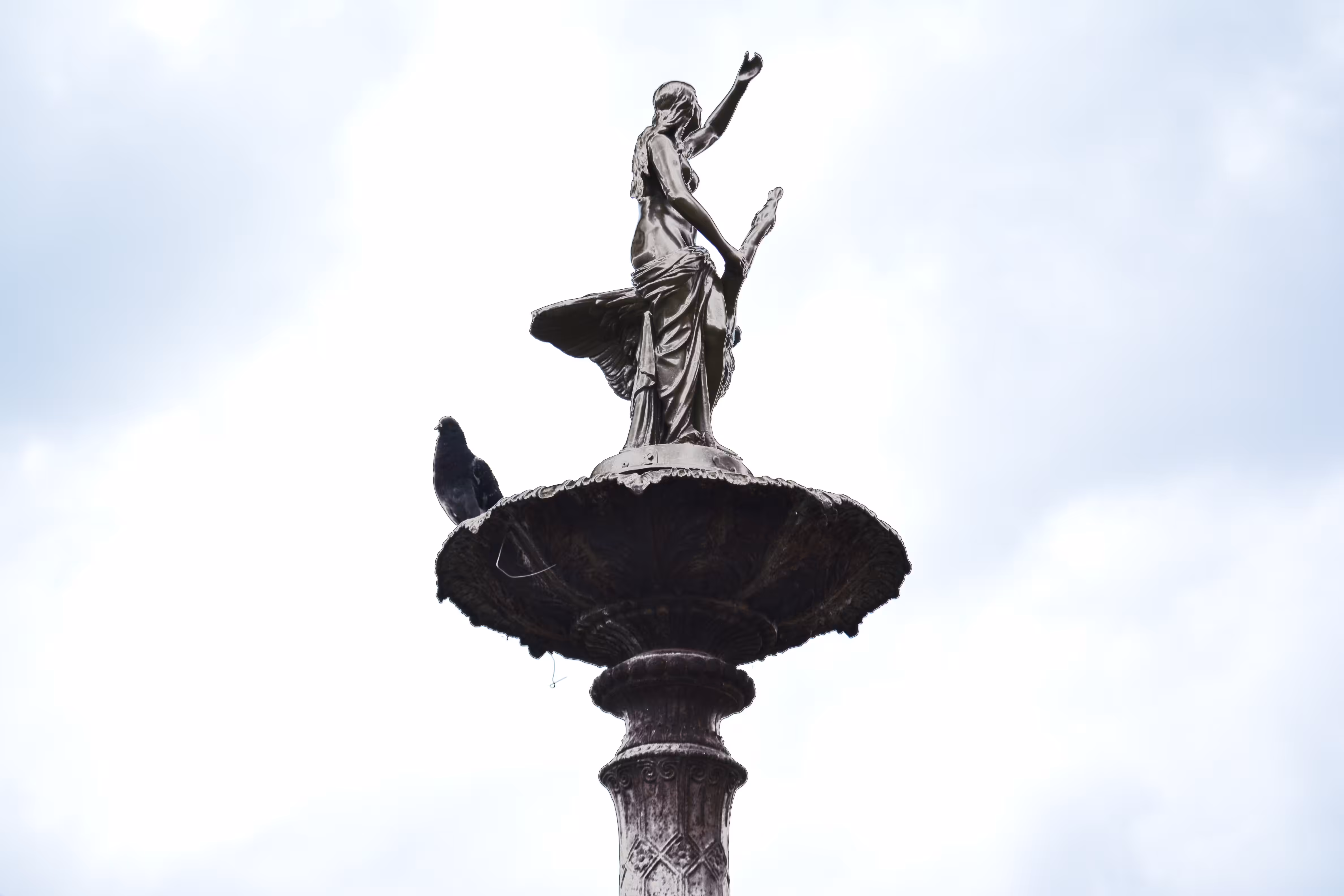 Leda y el Cisne