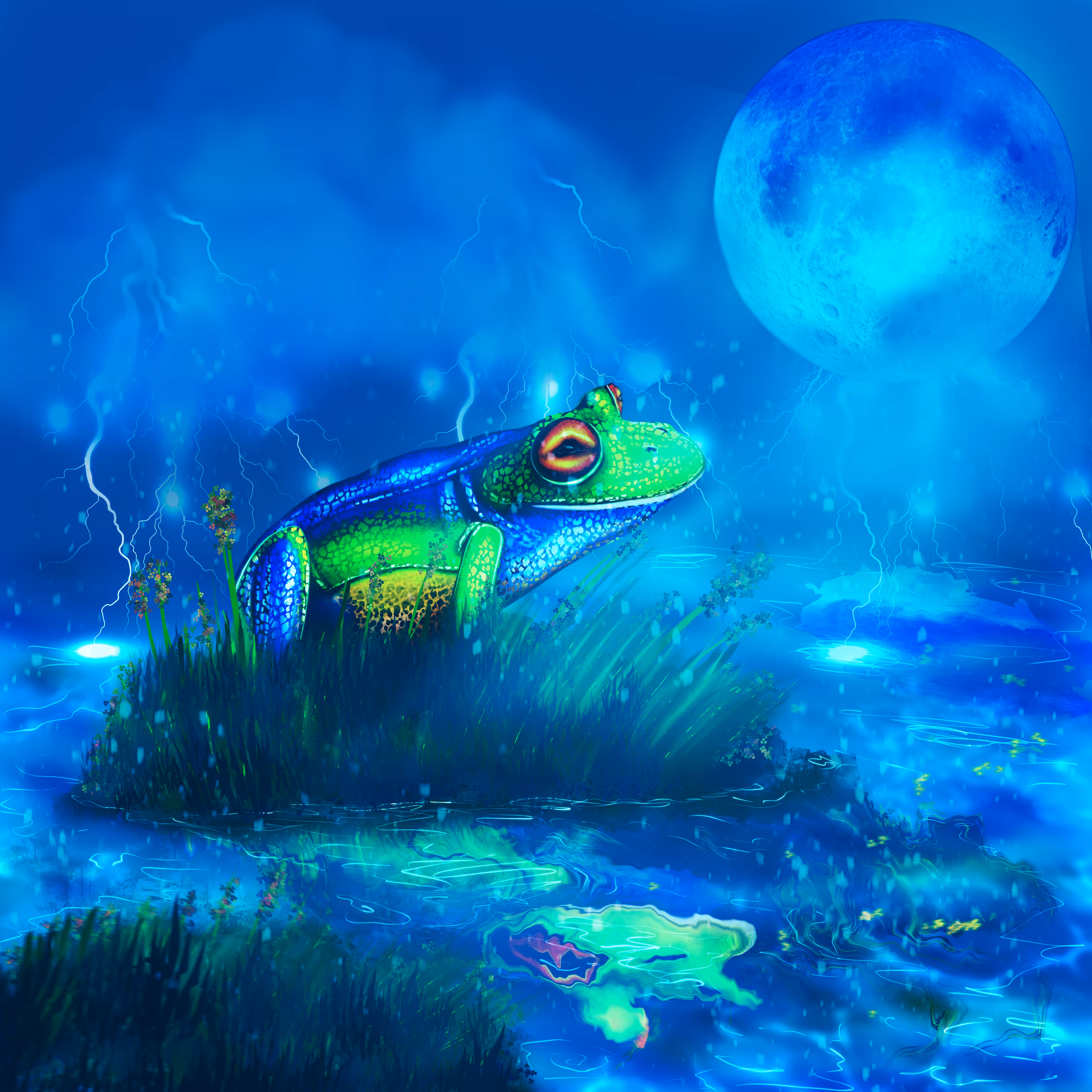 Moon frog