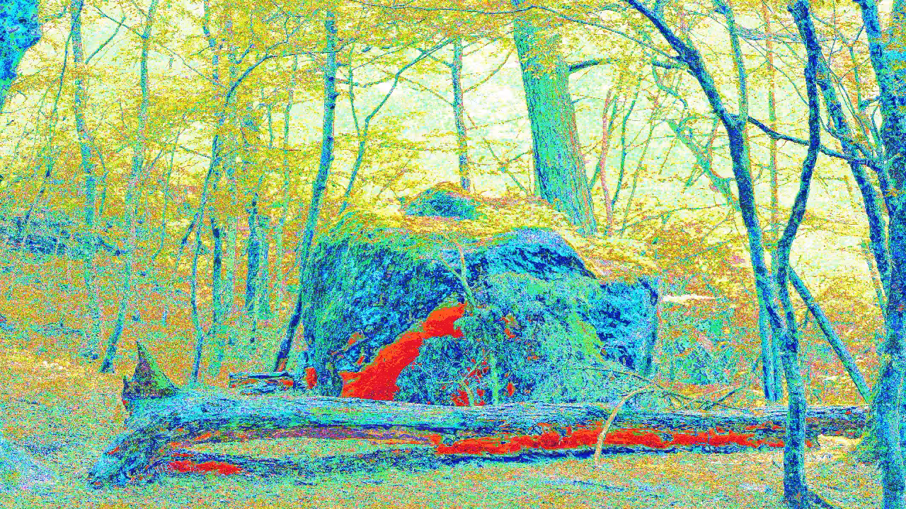 Stone, mushrooms and secret ritual