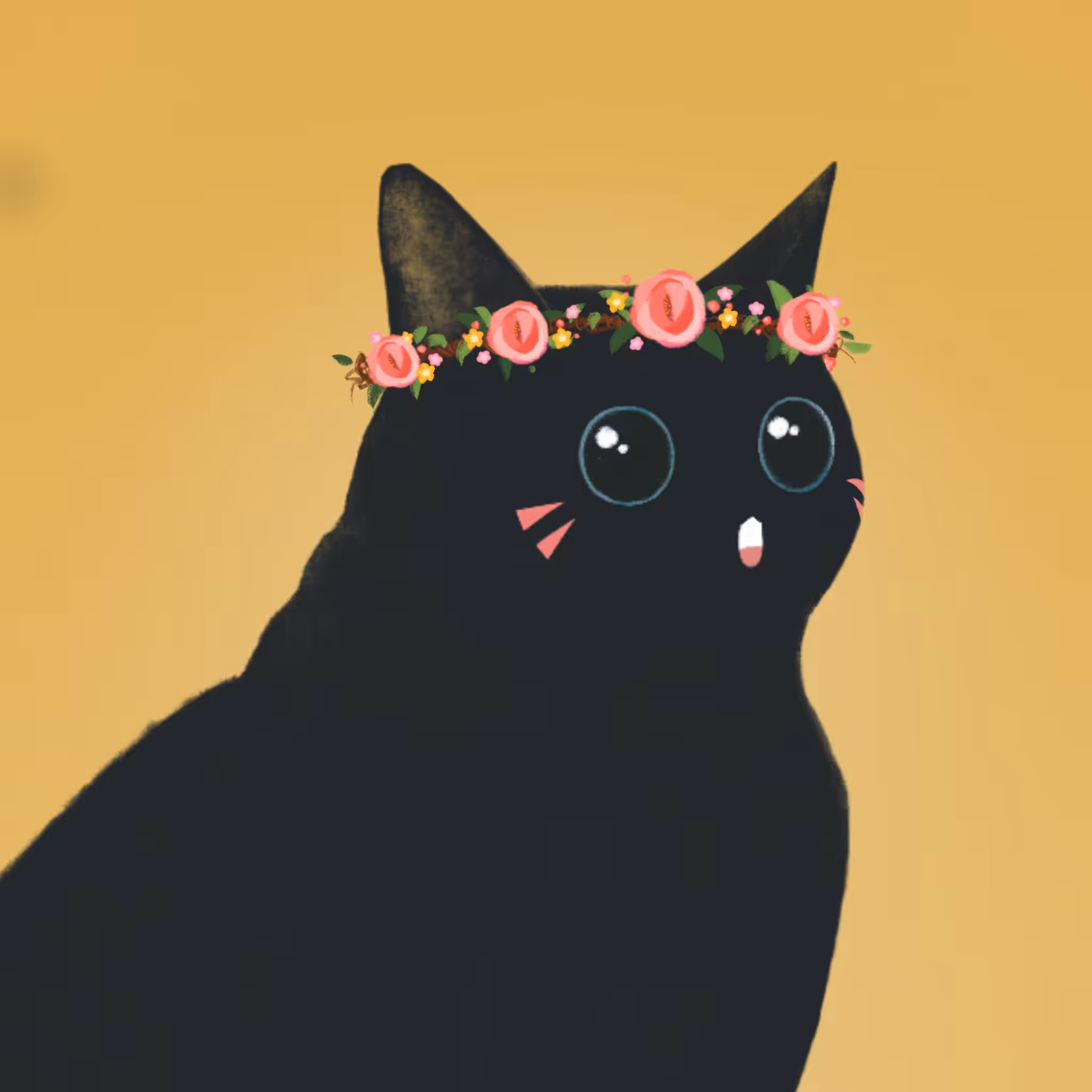 Tangtang Meow~