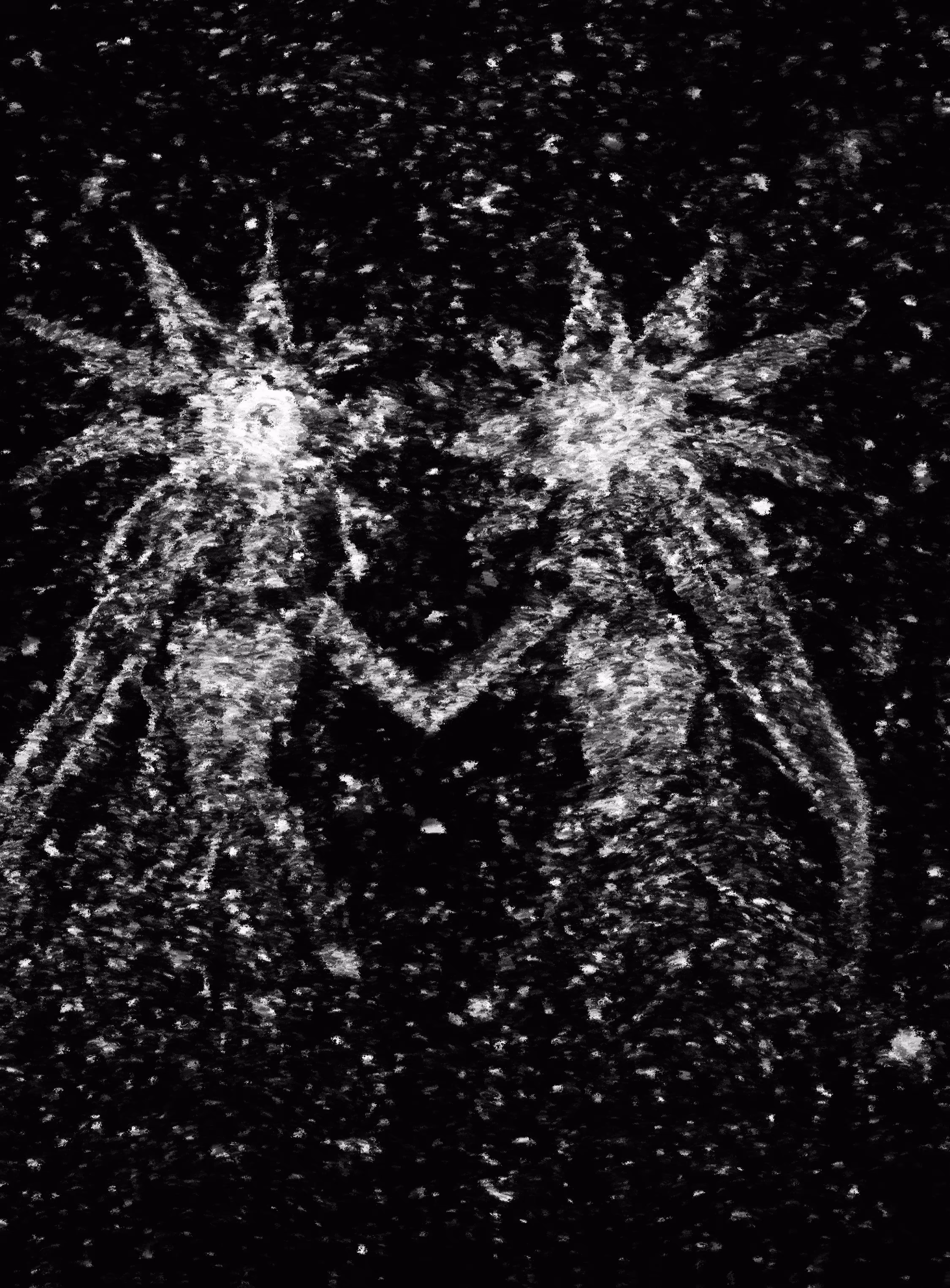 Into the Stars Together