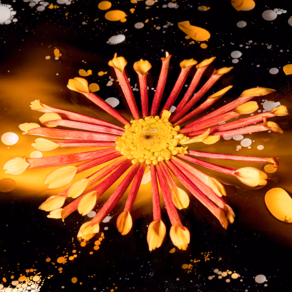 Flower #16