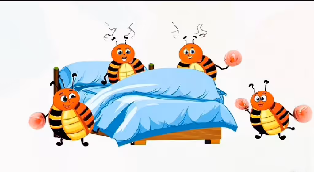 Bed  Bug Hotel