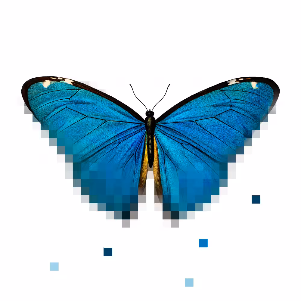 PFP Blue Flutter