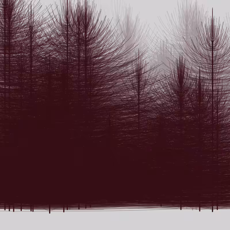 Elfin Forest #6