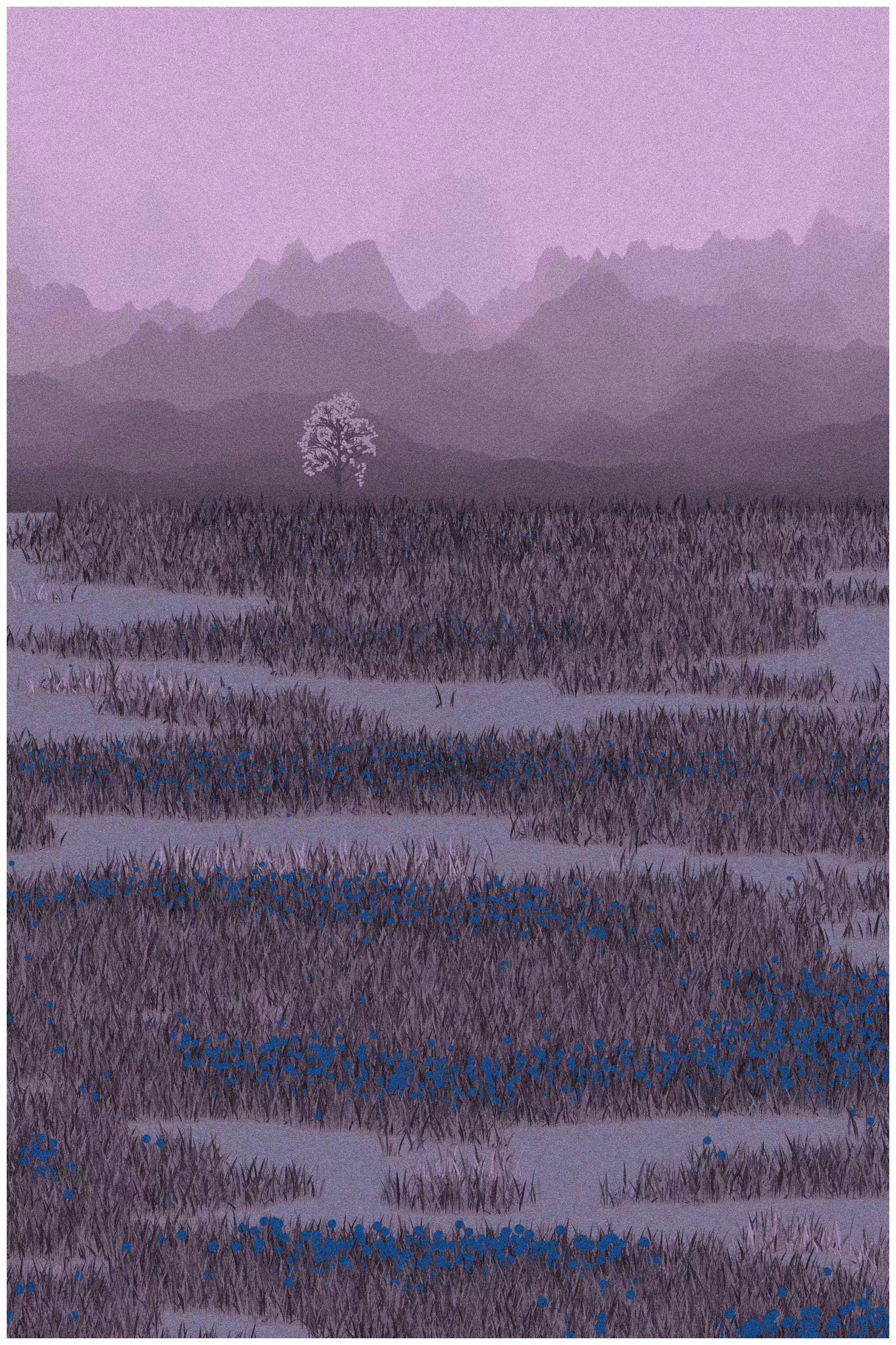 Backyard #48