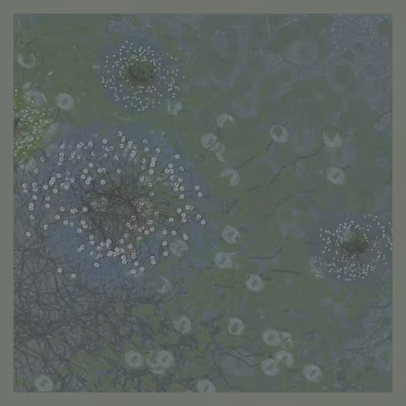 Jellyfish #49