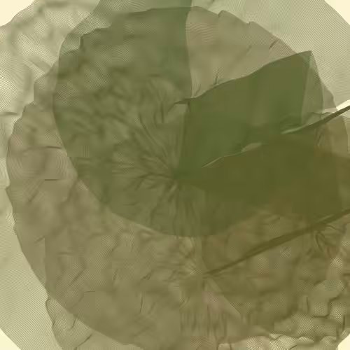 Lillypads #2