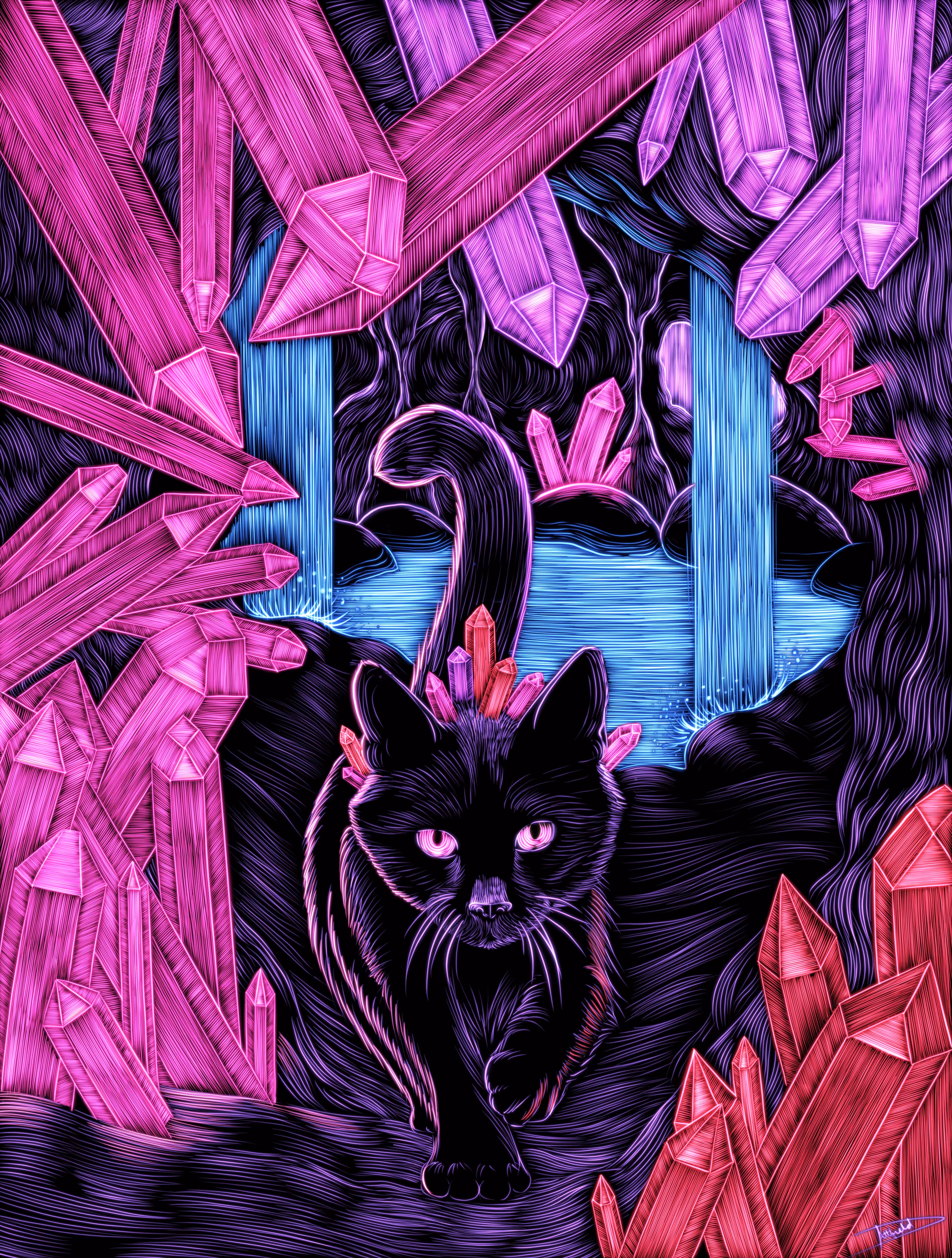The Cat Prince