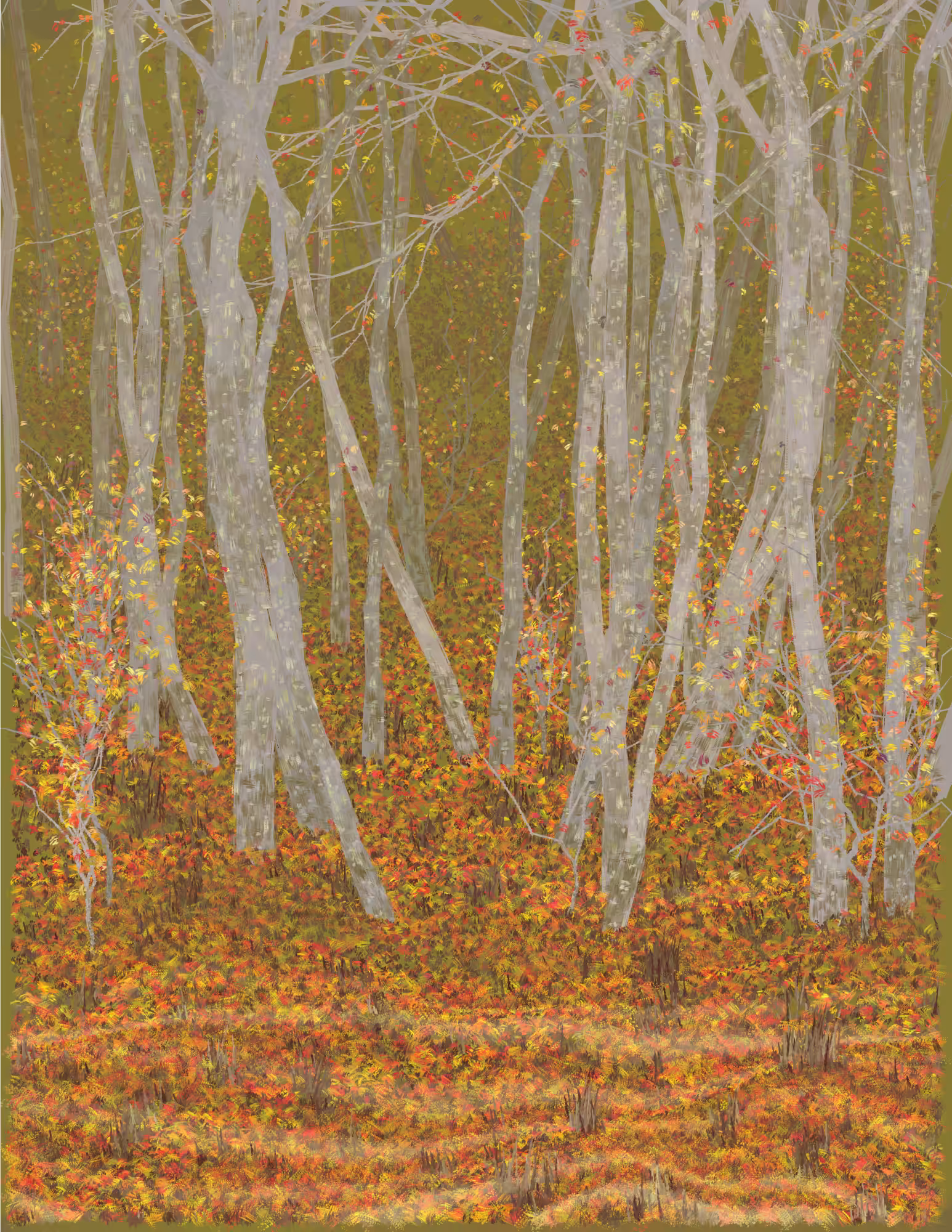 Deep Forest #317