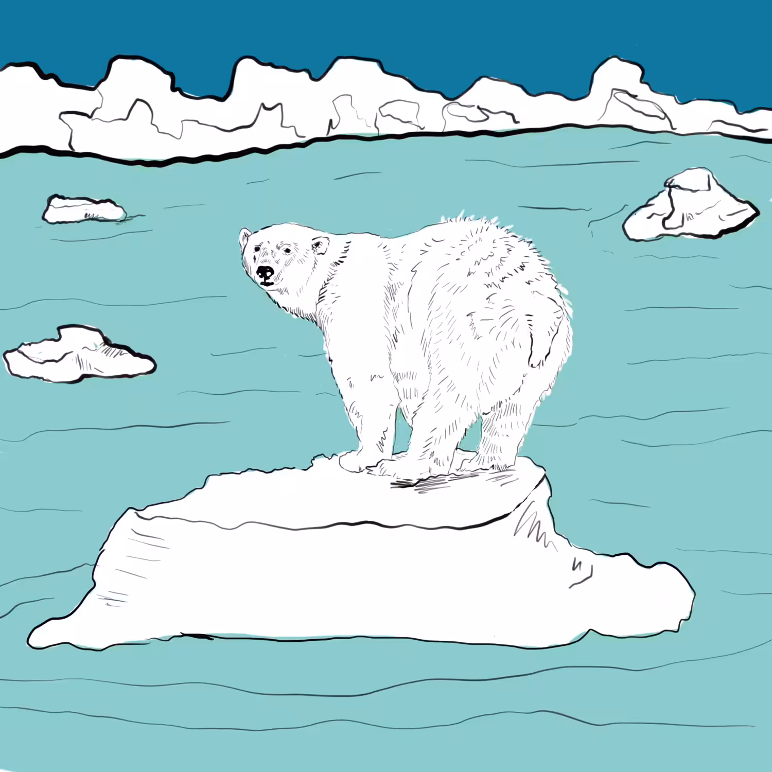 do you even care about polar bears