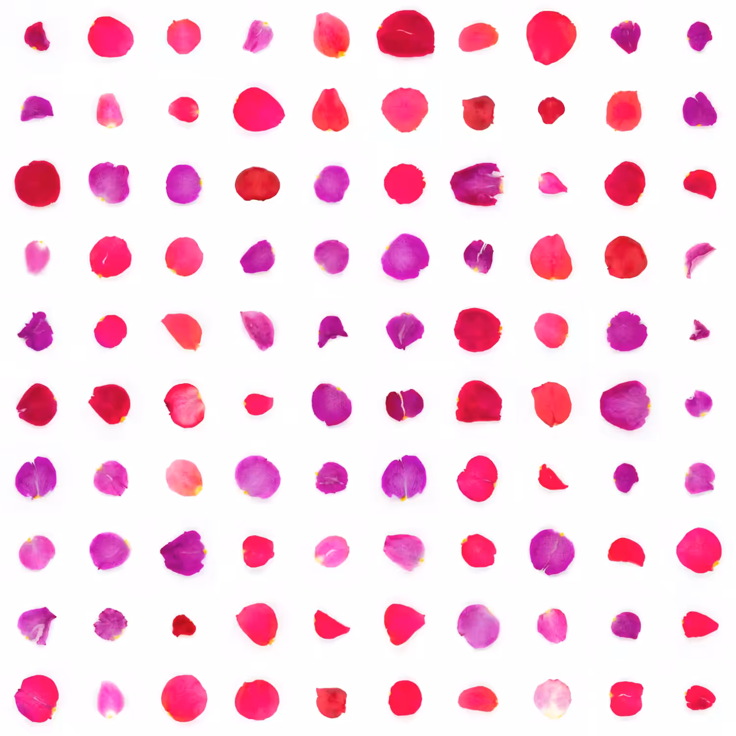 Infinite Petals 10x10#1276