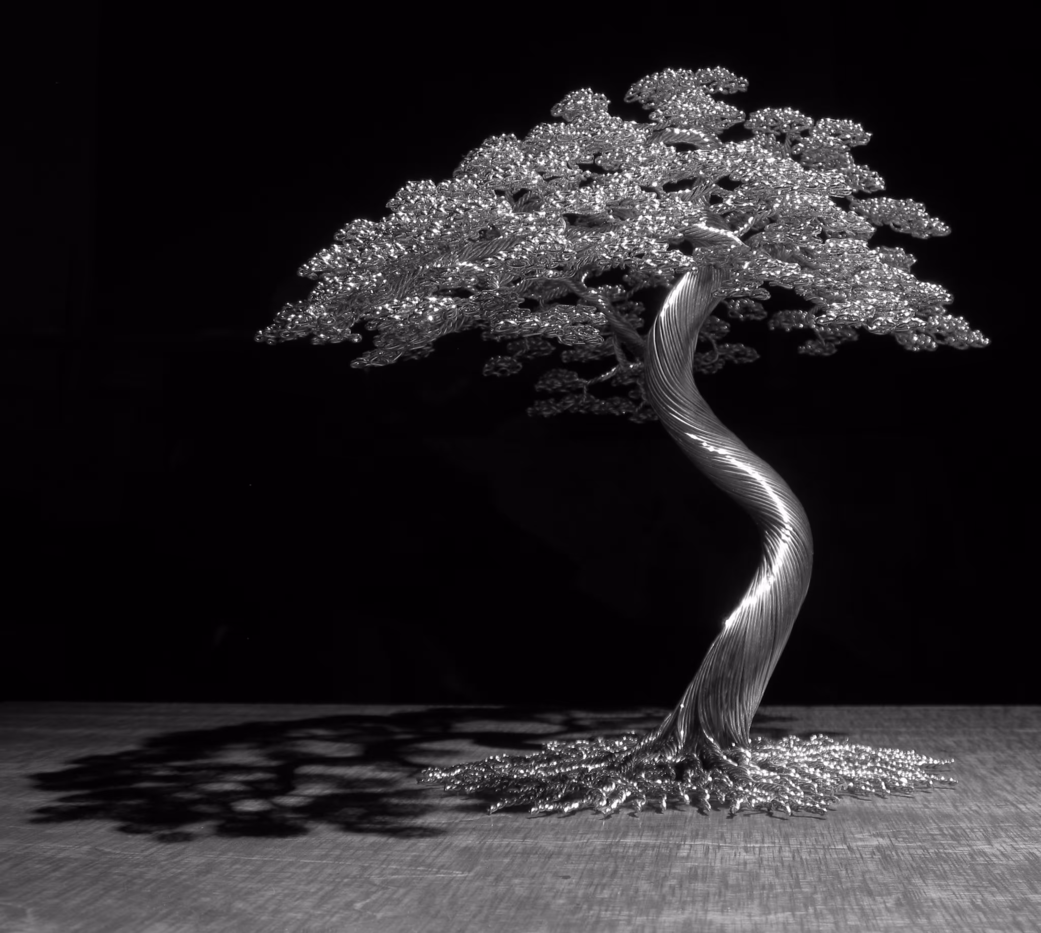 lonely tree 1