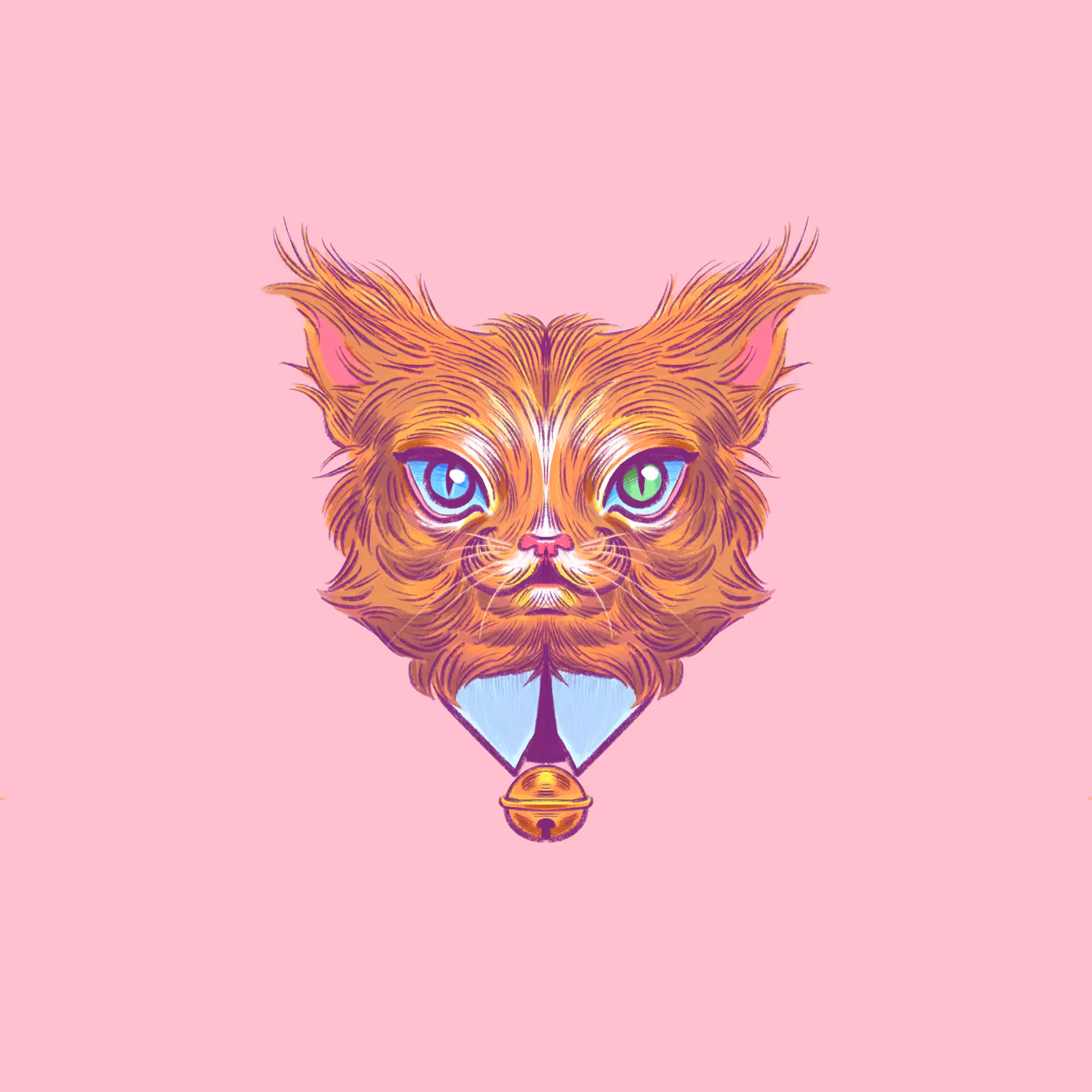 Cat 004