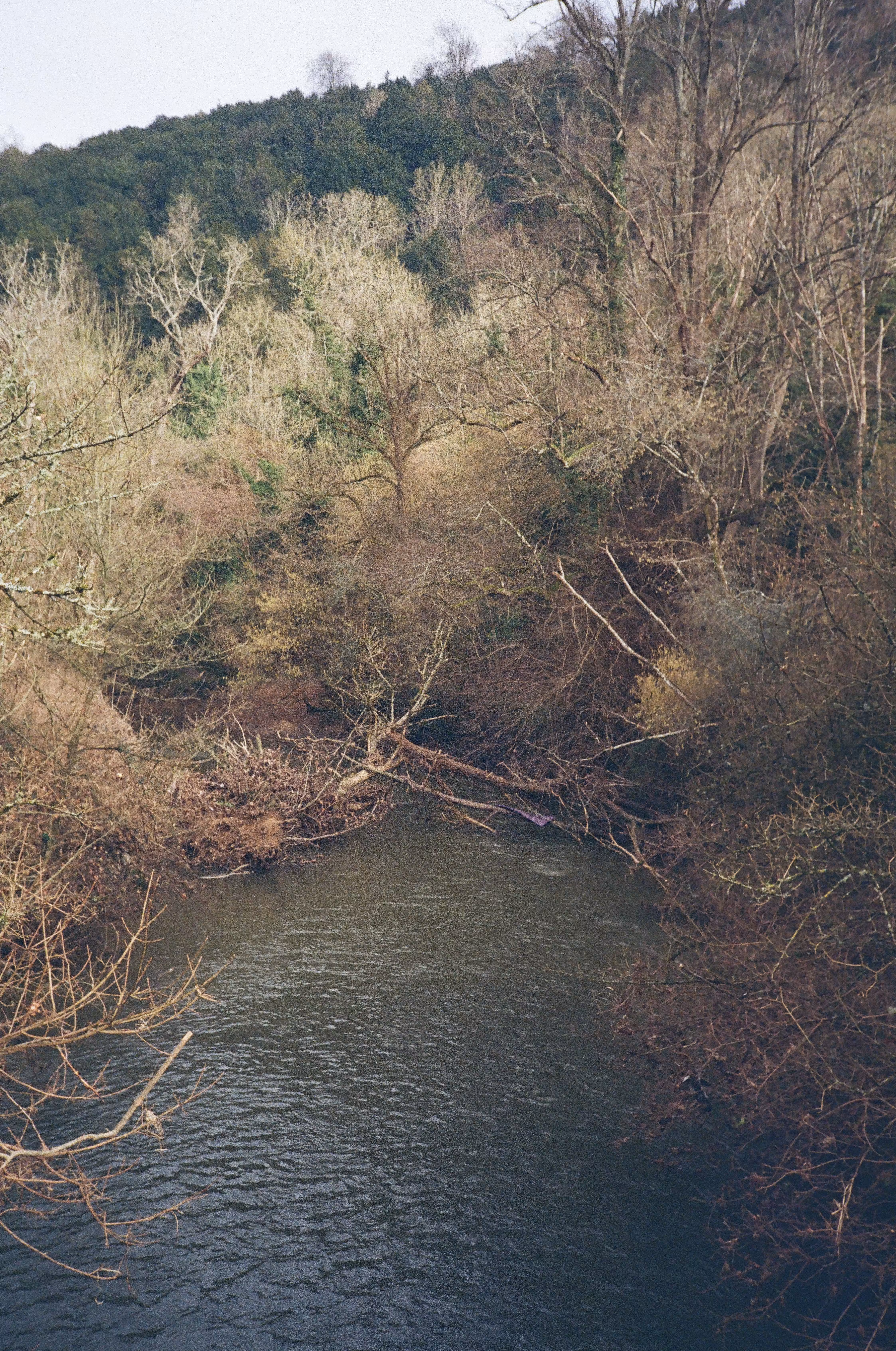 Sunday adventures part 2