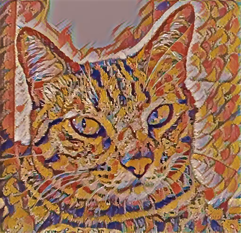 CAT01