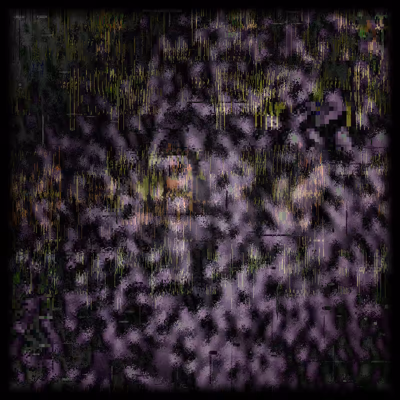 warp&weft3 #37
